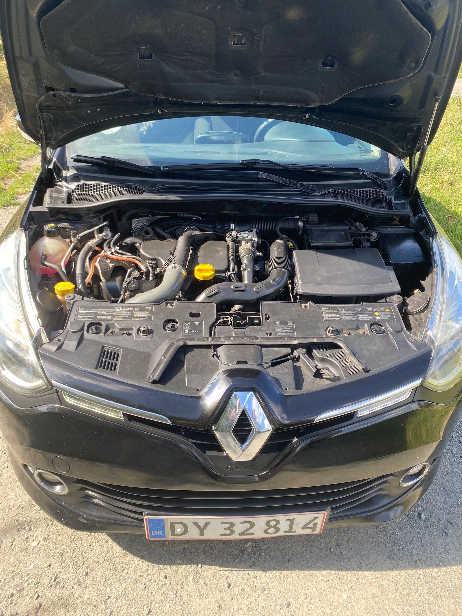Renault Clio til salg hos Nabilli