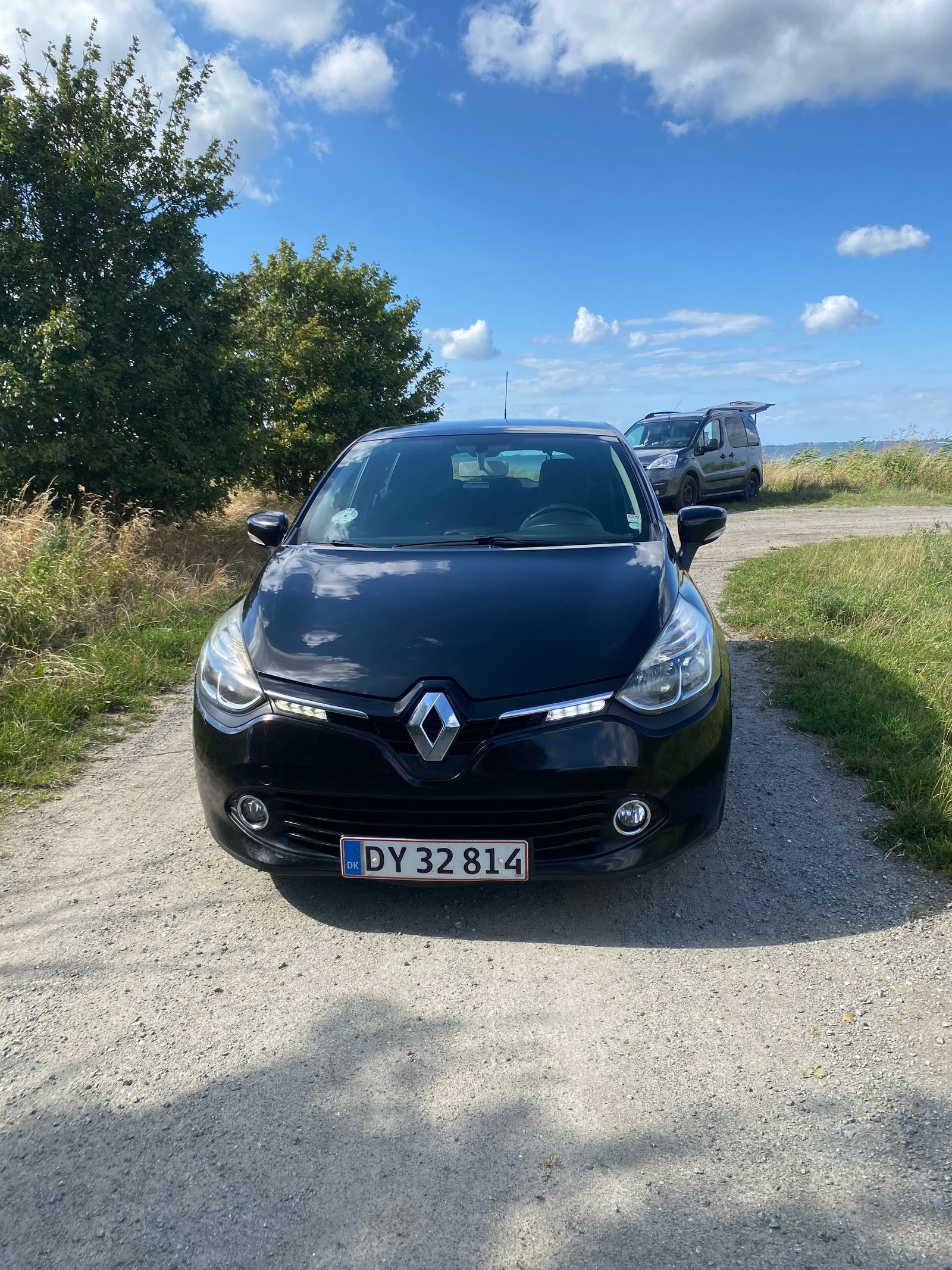 Renault Clio til salg hos Nabilli