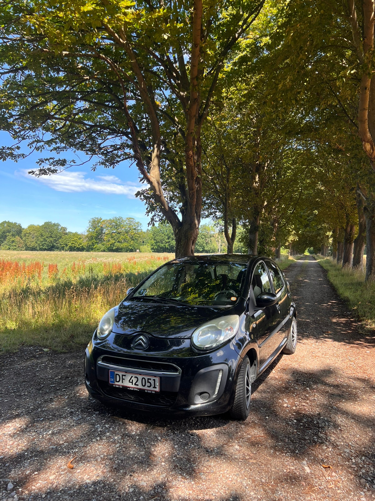 Citroen C1 til salg hos Nabilli