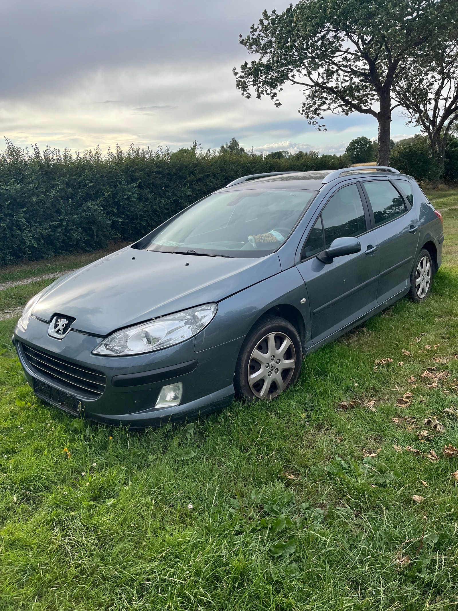 Peugeot 407 til salg hos Nabilli