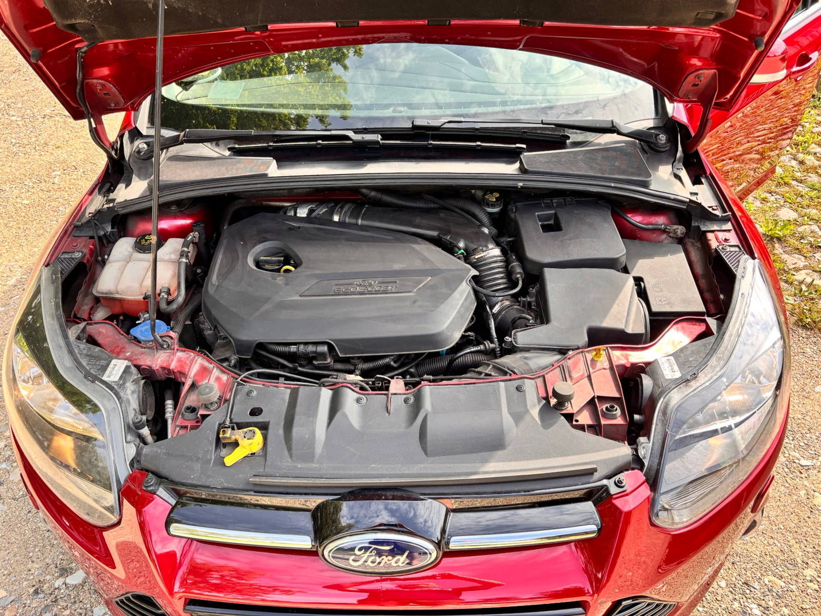 Ford Focus – billede 5