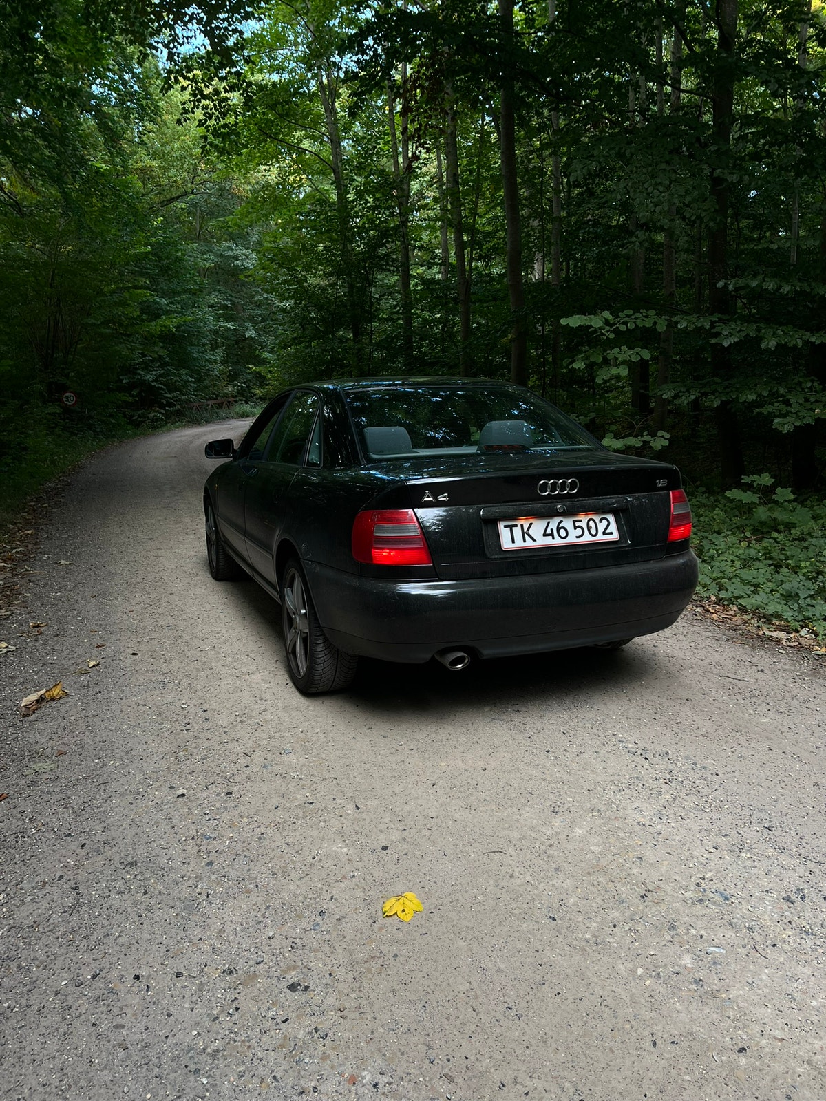 Audi A4 – billede 2