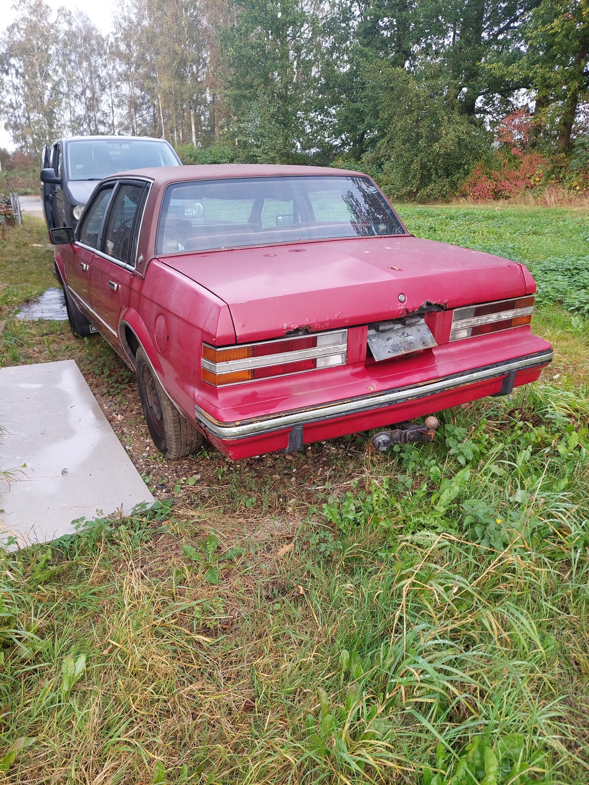 Buick Century til salg hos Nabilli