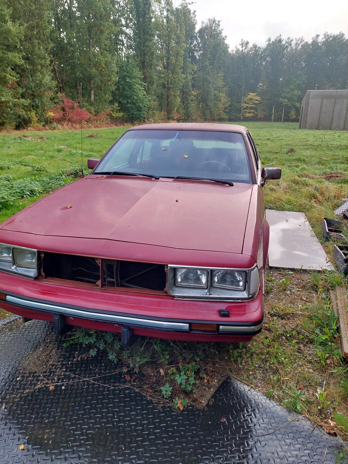 Buick Century til salg hos Nabilli