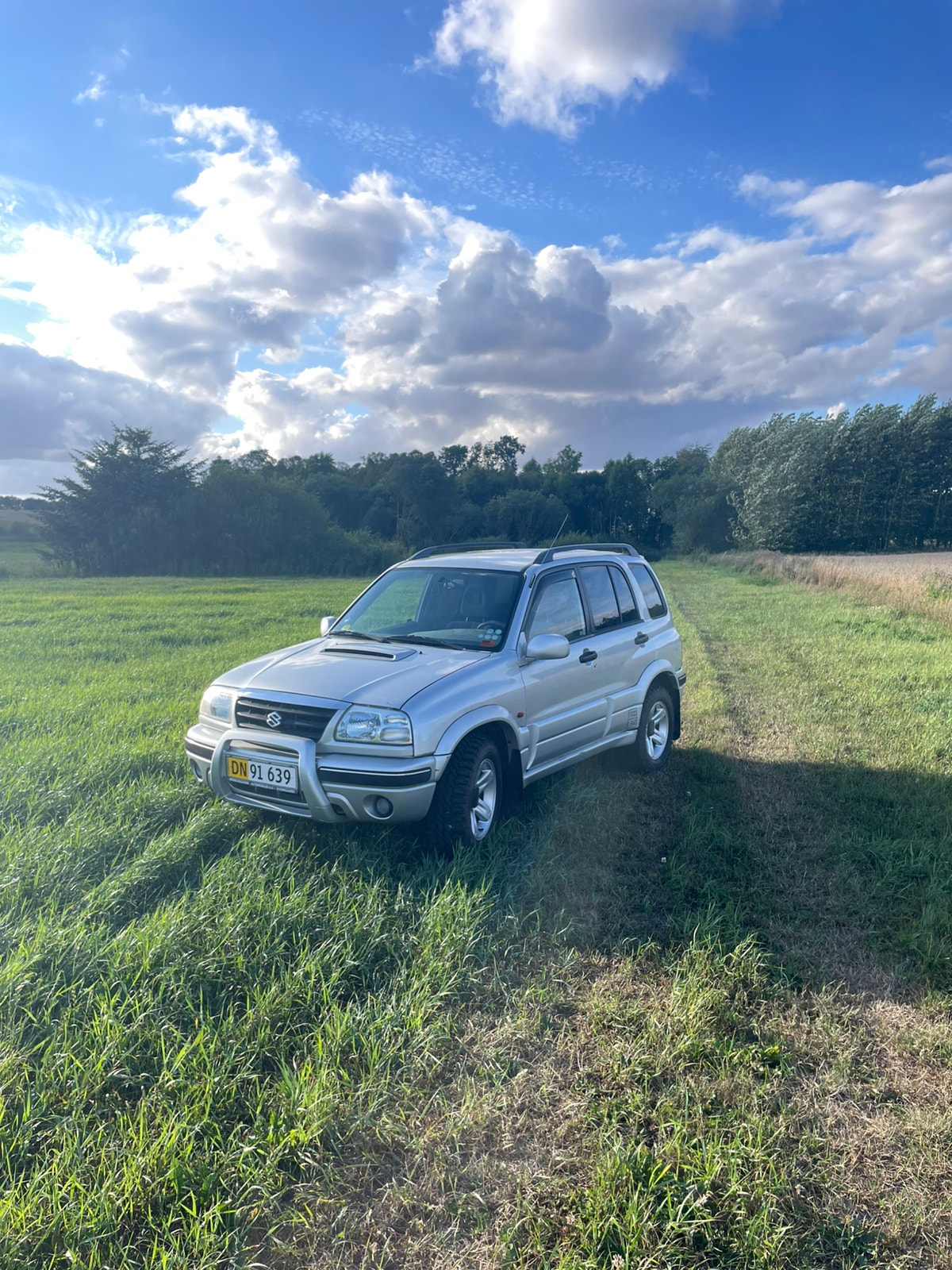 Suzuki Grand Vitara til salg hos Nabilli