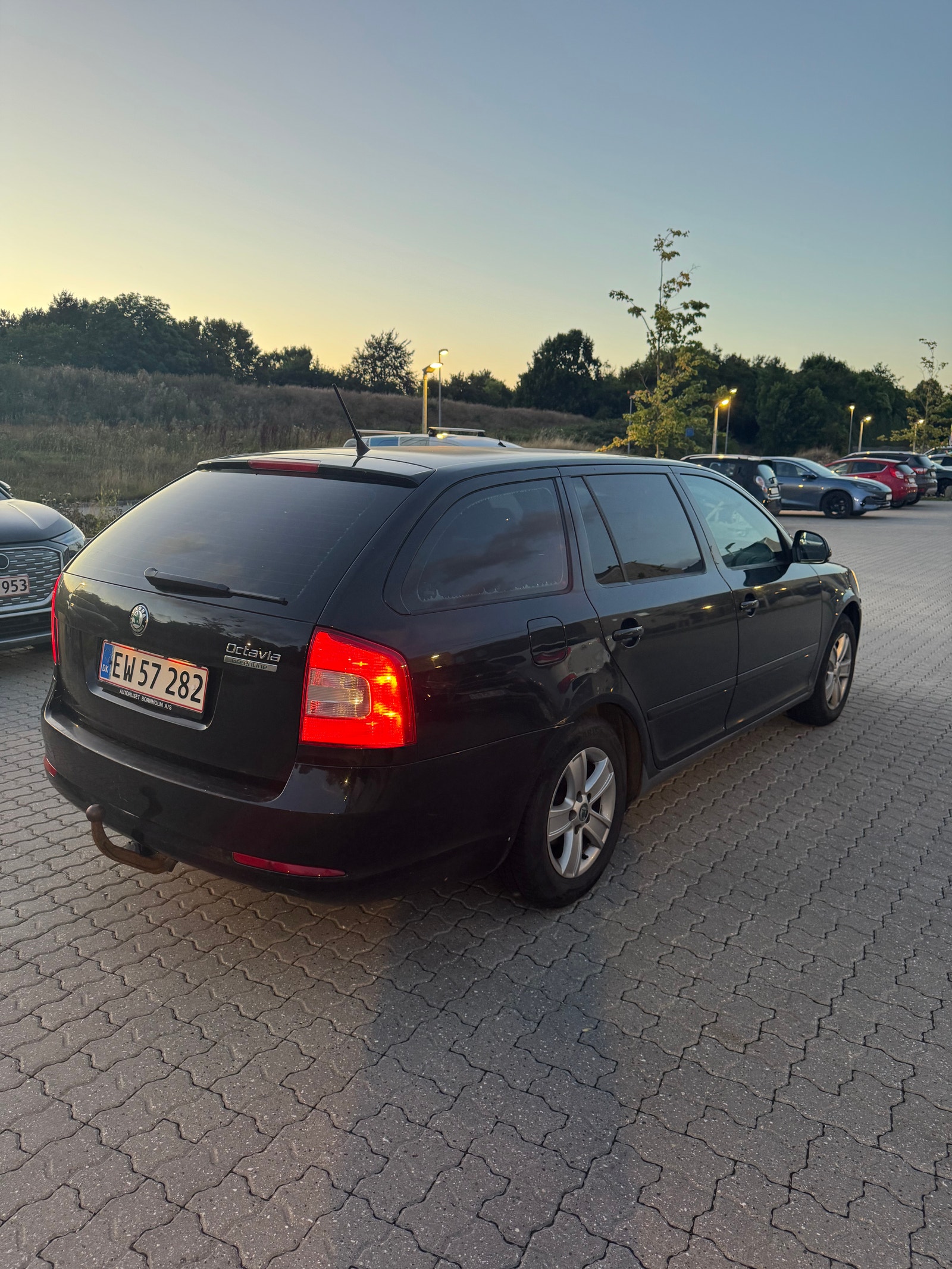 Skoda Octavia til salg hos Nabilli