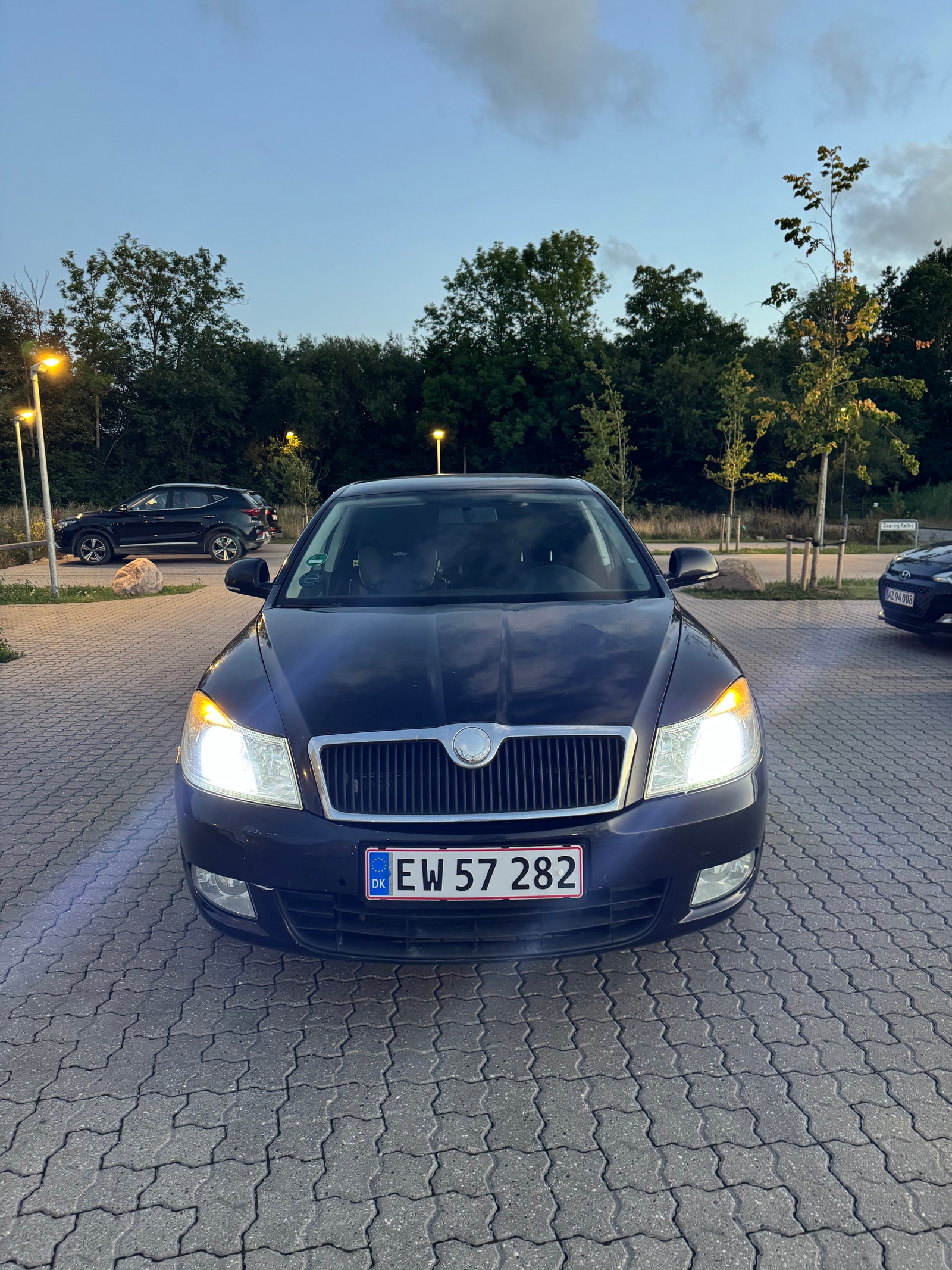 Skoda Octavia til salg hos Nabilli