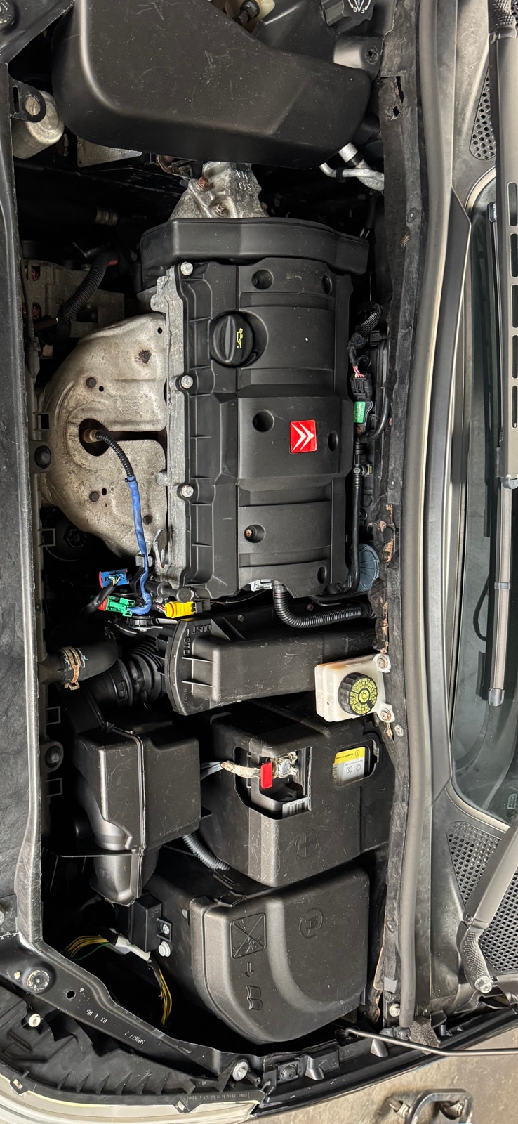 Citroen C4 – billede 5