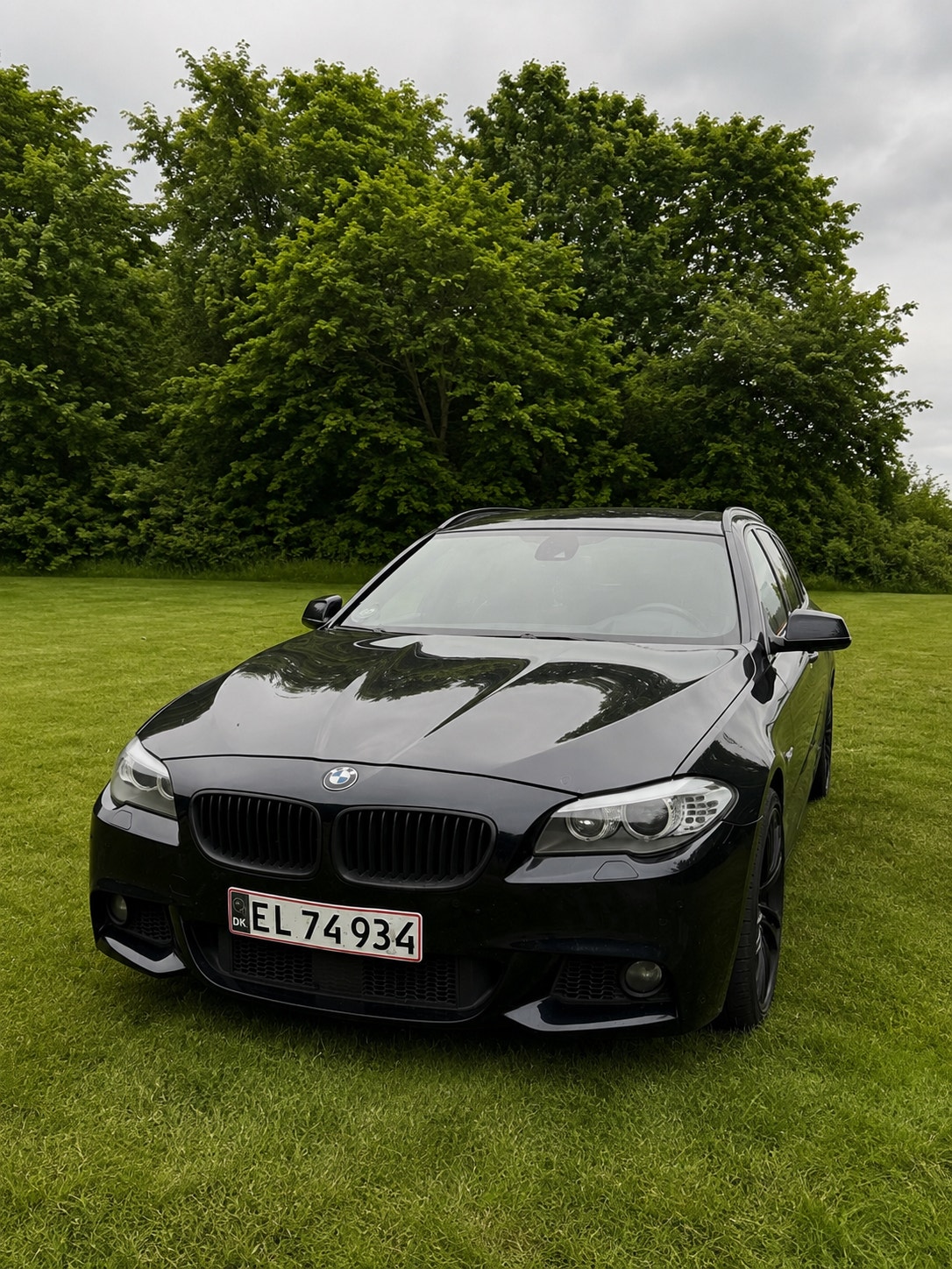 BMW 525d til salg hos Nabilli