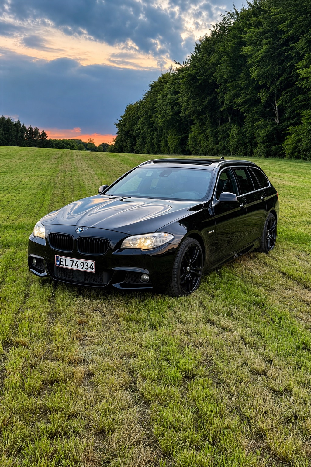 BMW 525d til salg hos Nabilli