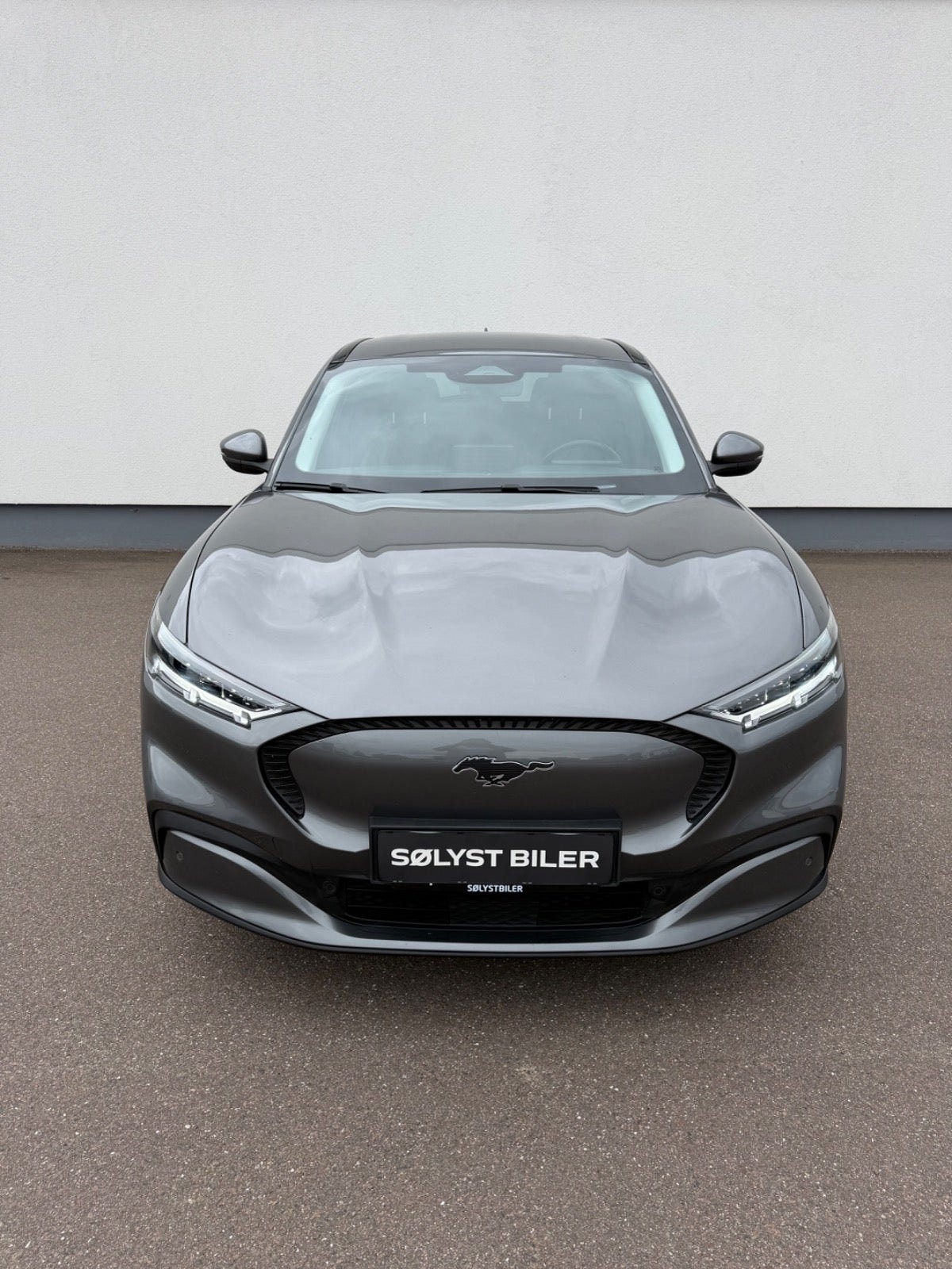Ford Mustang Mach-E til salg hos Nabilli