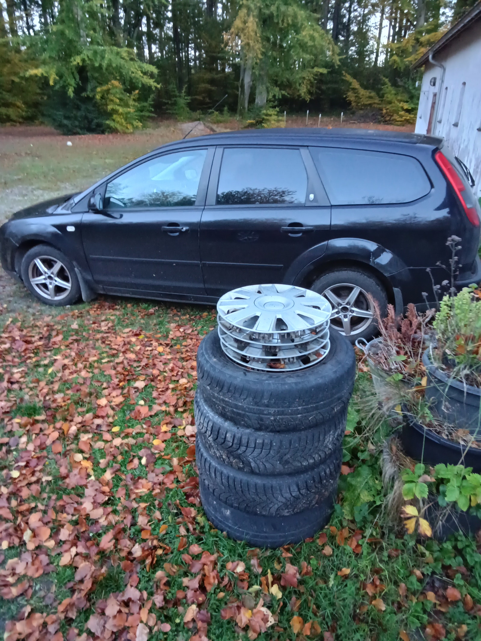 Ford Focus til salg hos Nabilli