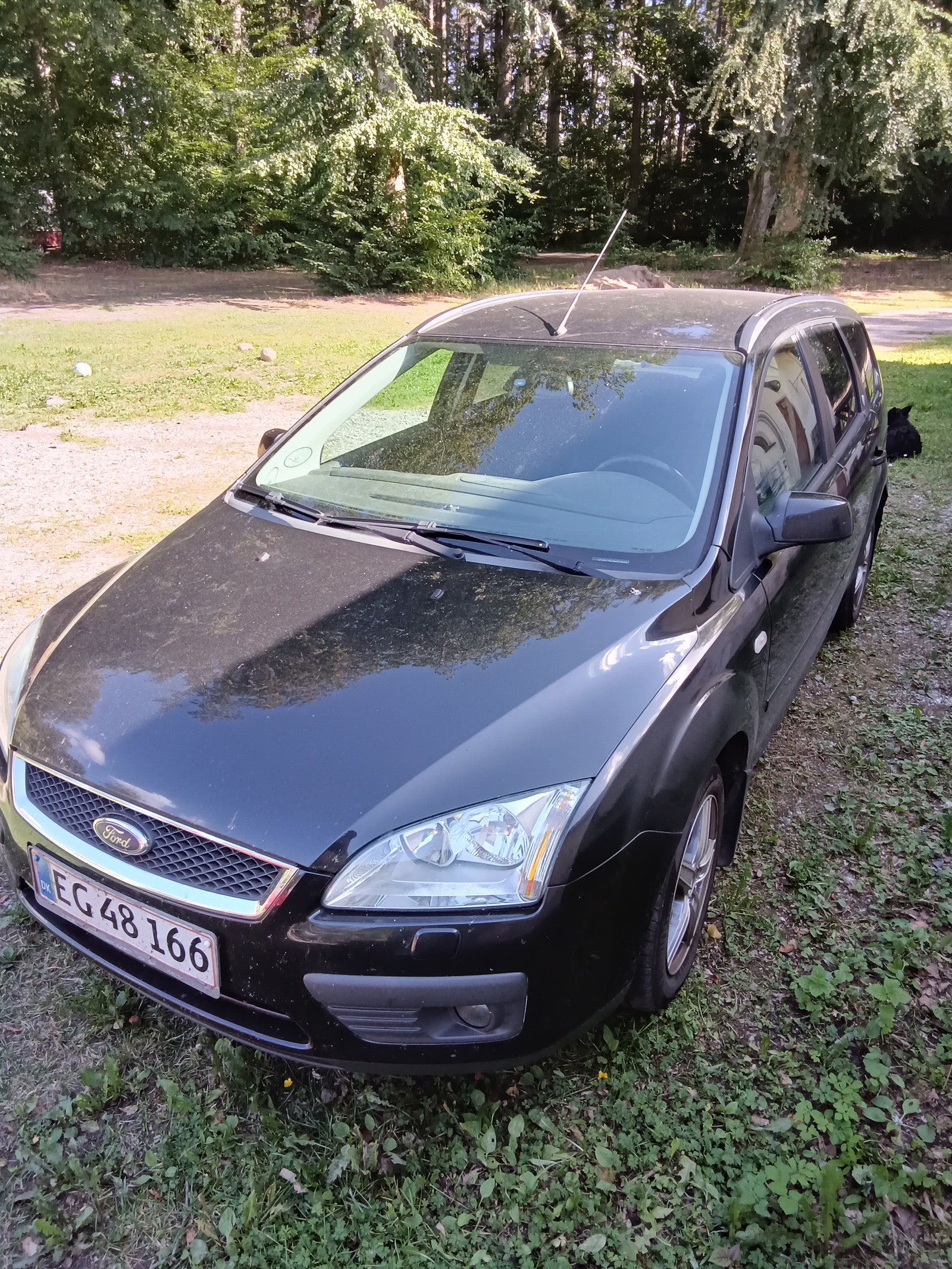 Ford Focus til salg hos Nabilli