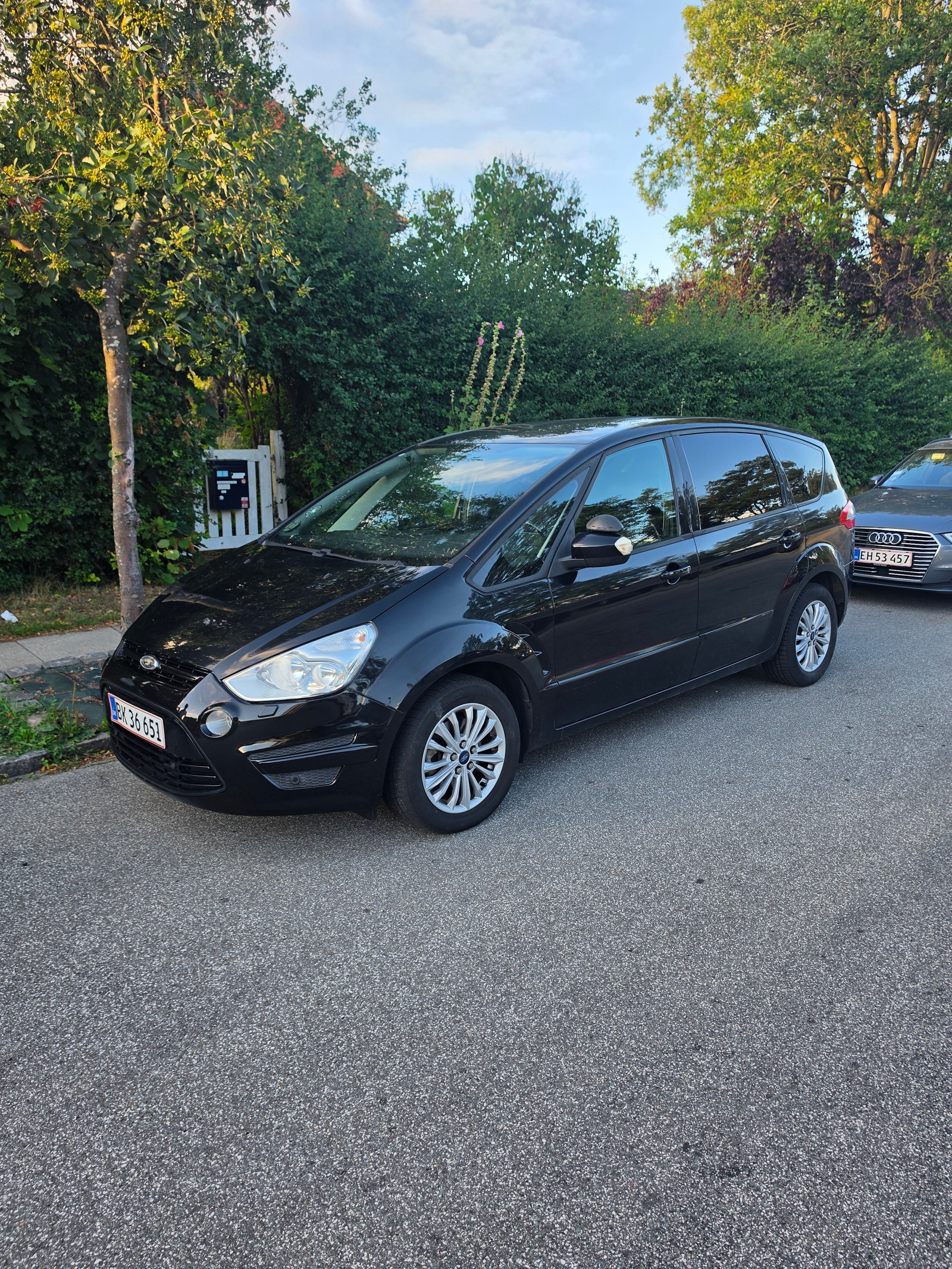 Ford S-MAX – billede 2