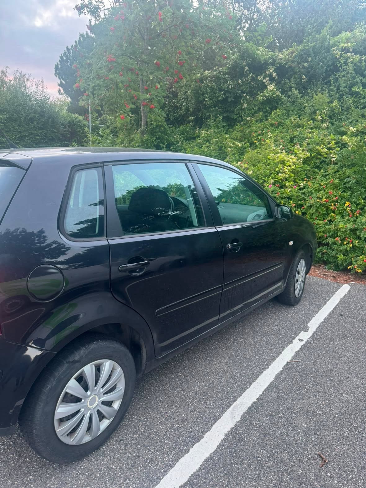 VW Polo – billede 8