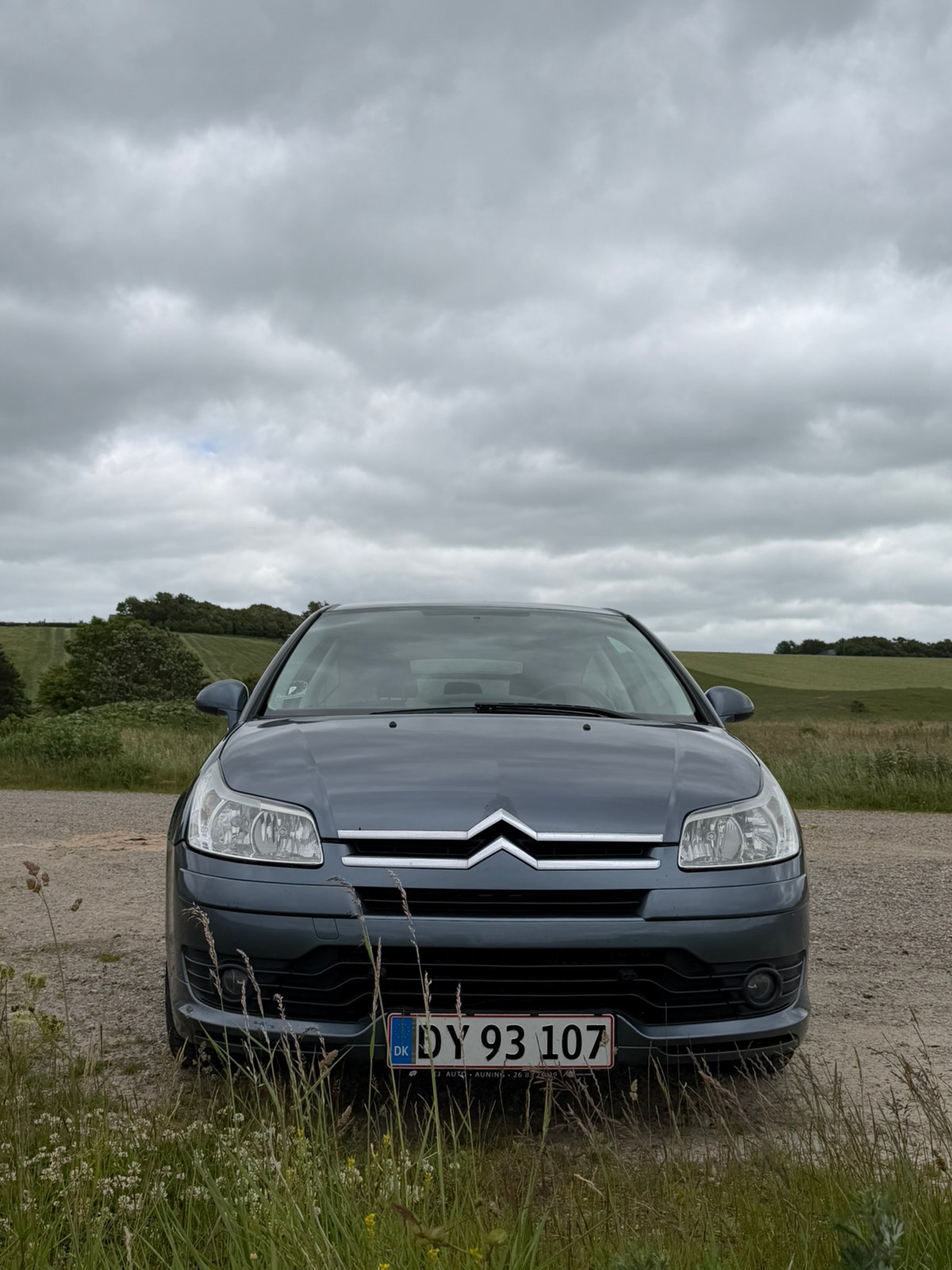 Citroen C4 til salg hos Nabilli