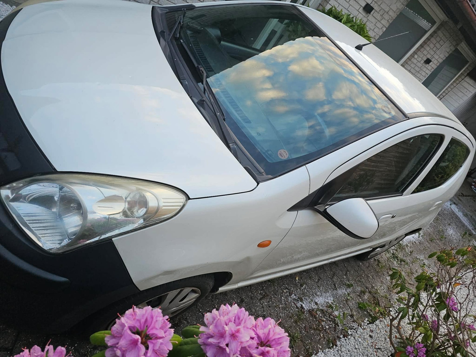 Nissan Pixo – billede 6