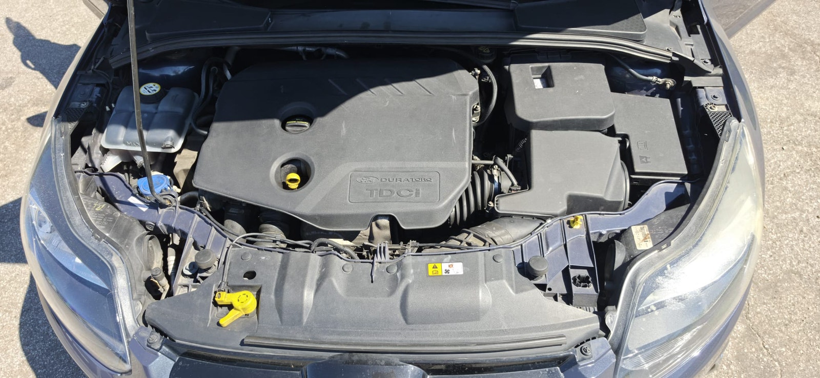 Ford Focus – billede 5
