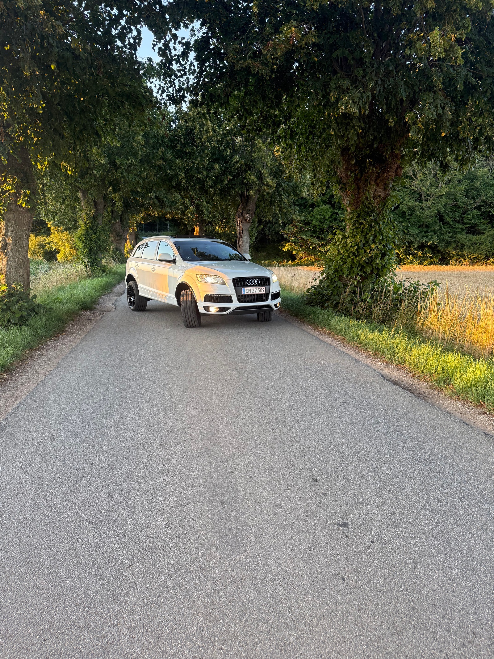Audi Q7 til salg hos Nabilli