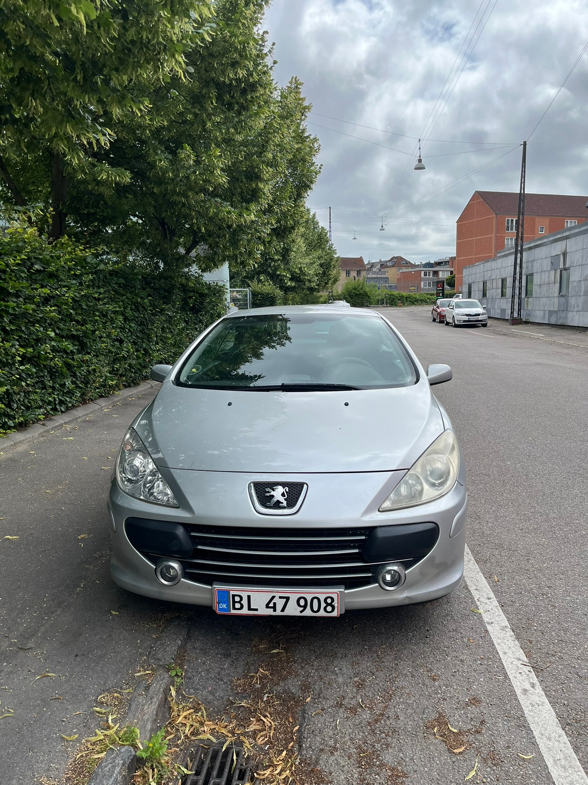 Peugeot 307 – billede 2