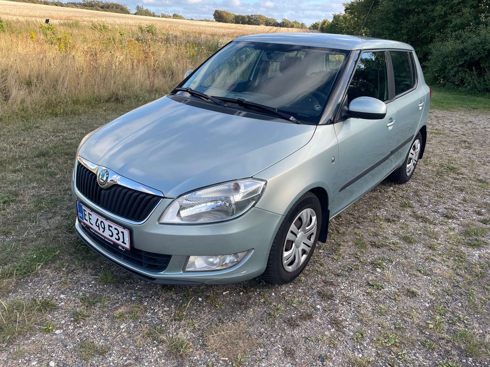 Skoda Fabia til salg hos Nabilli