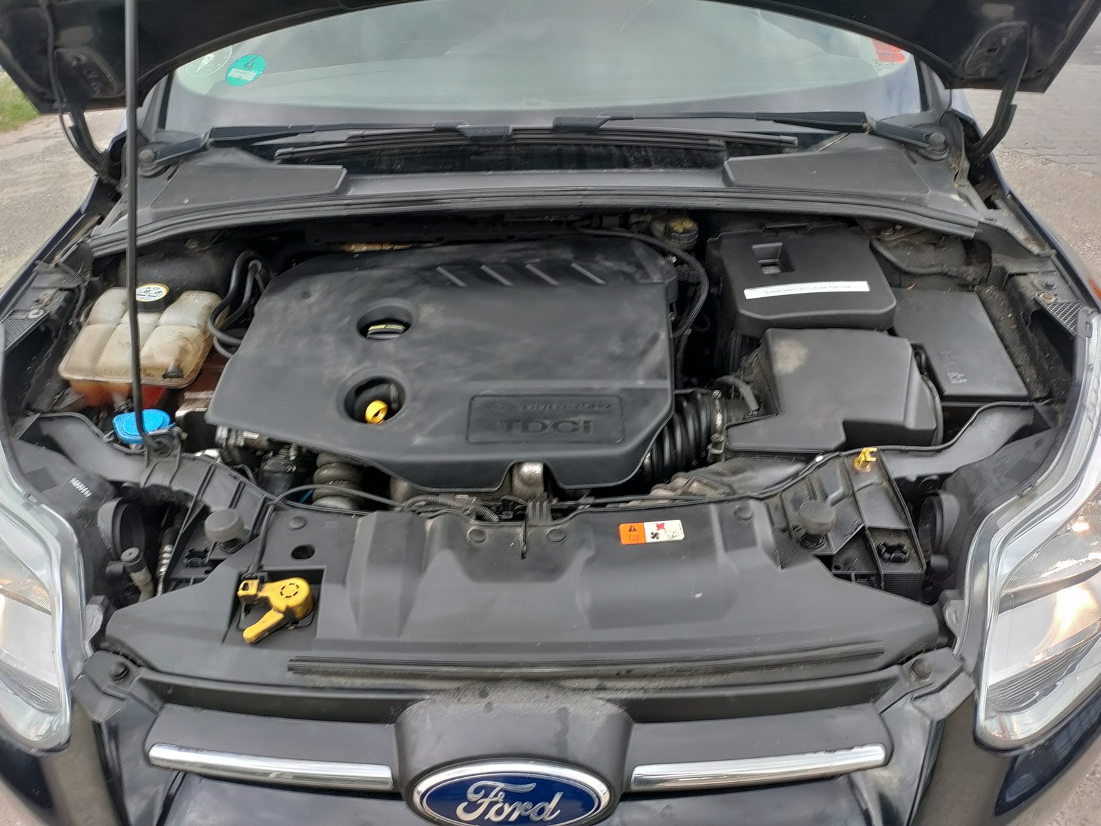 Ford Focus – billede 10