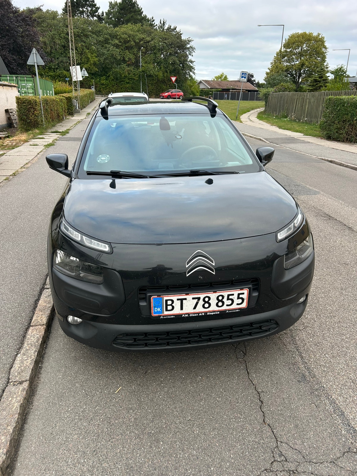 Citroen C4 Cactus – billede 3