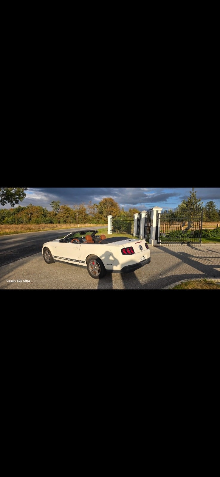 Ford Mustang – billede 6