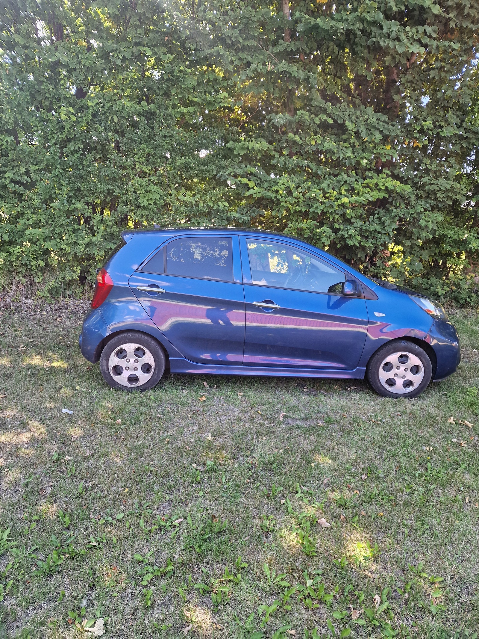 Kia Picanto til salg hos Nabilli