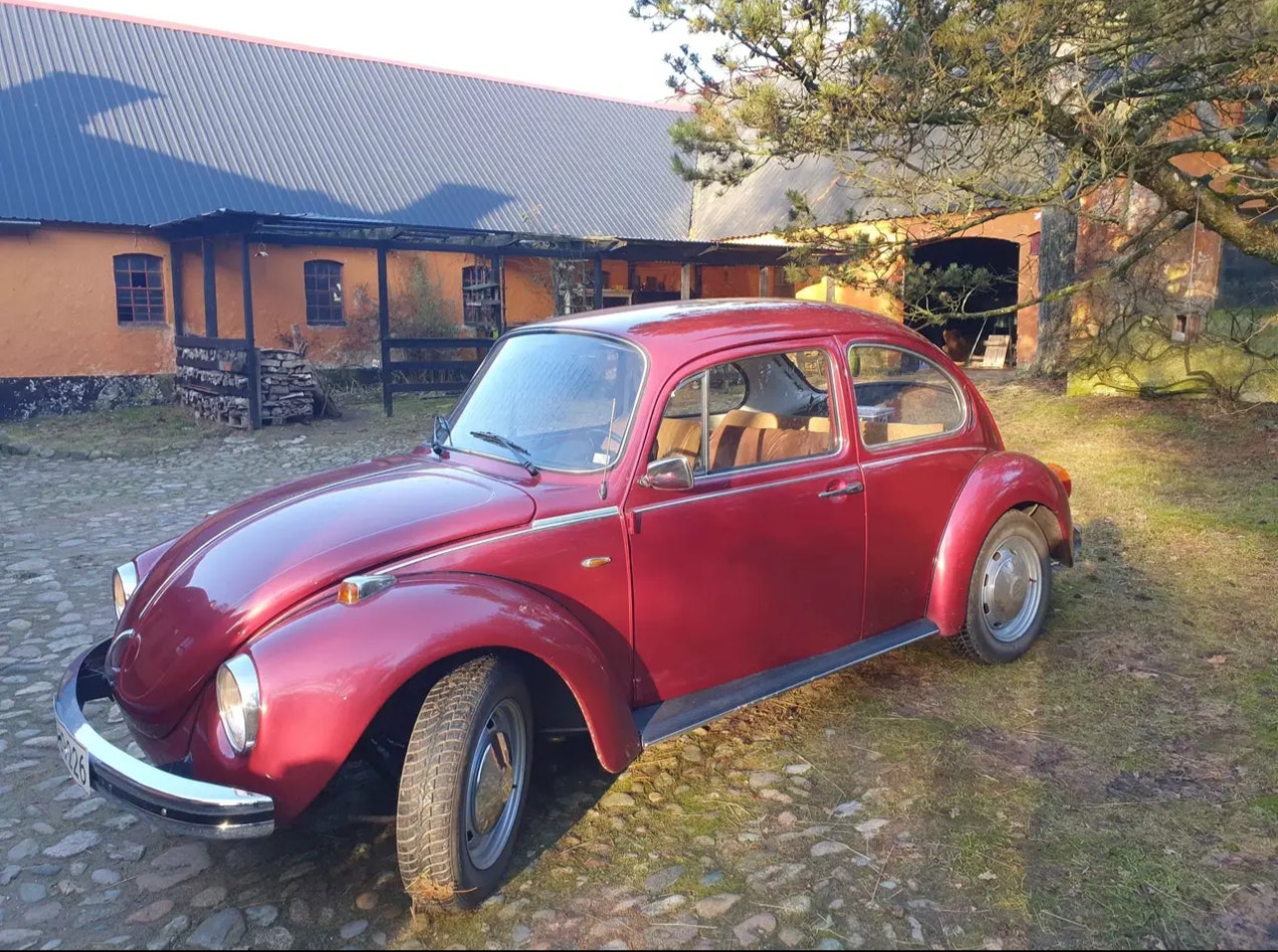 VW 1303 – billede 2
