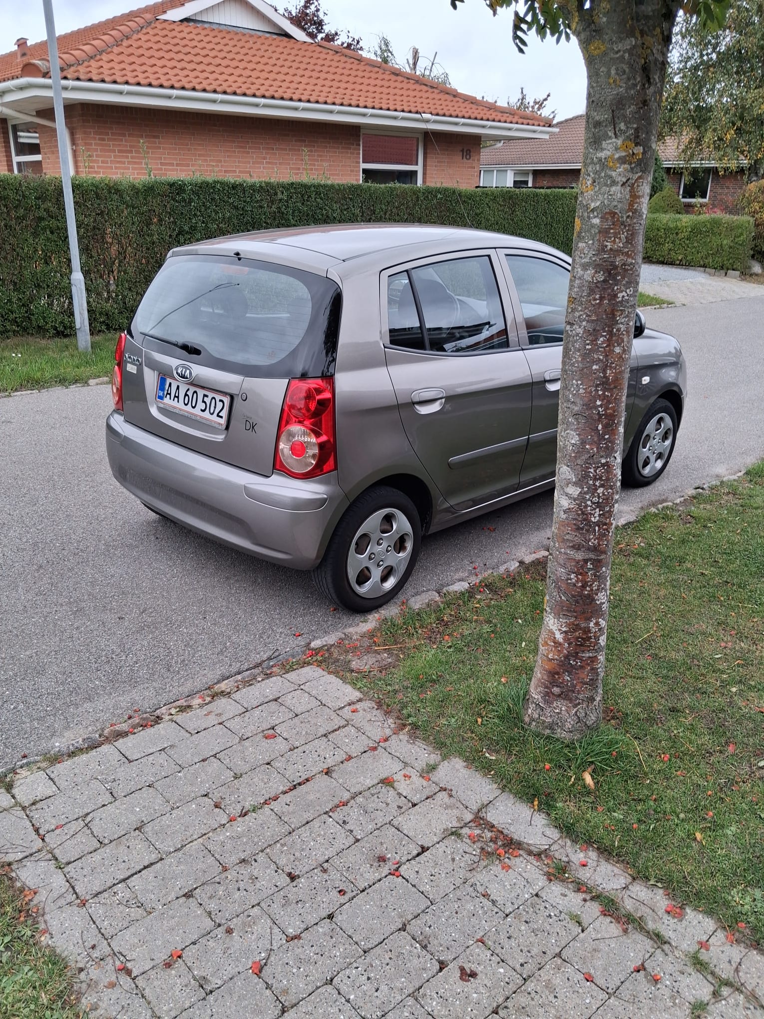 Kia Picanto – billede 2