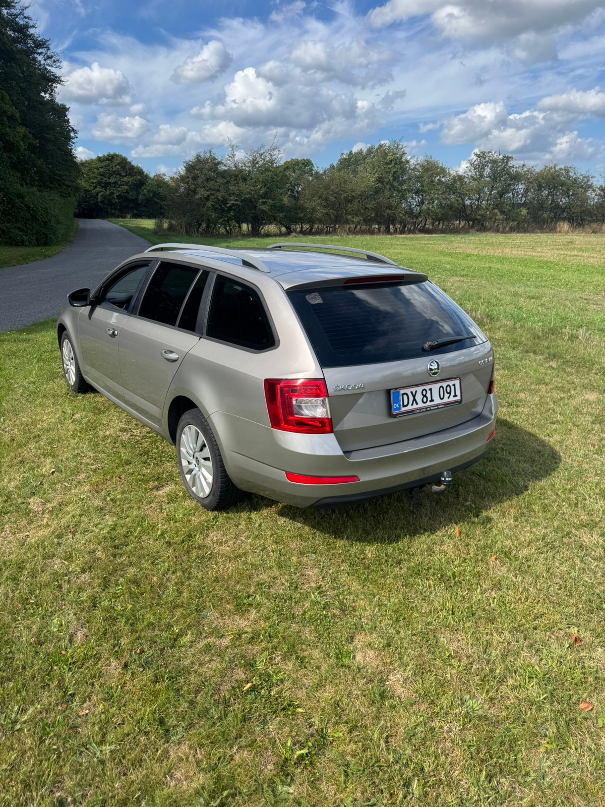 Skoda Octavia til salg hos Nabilli