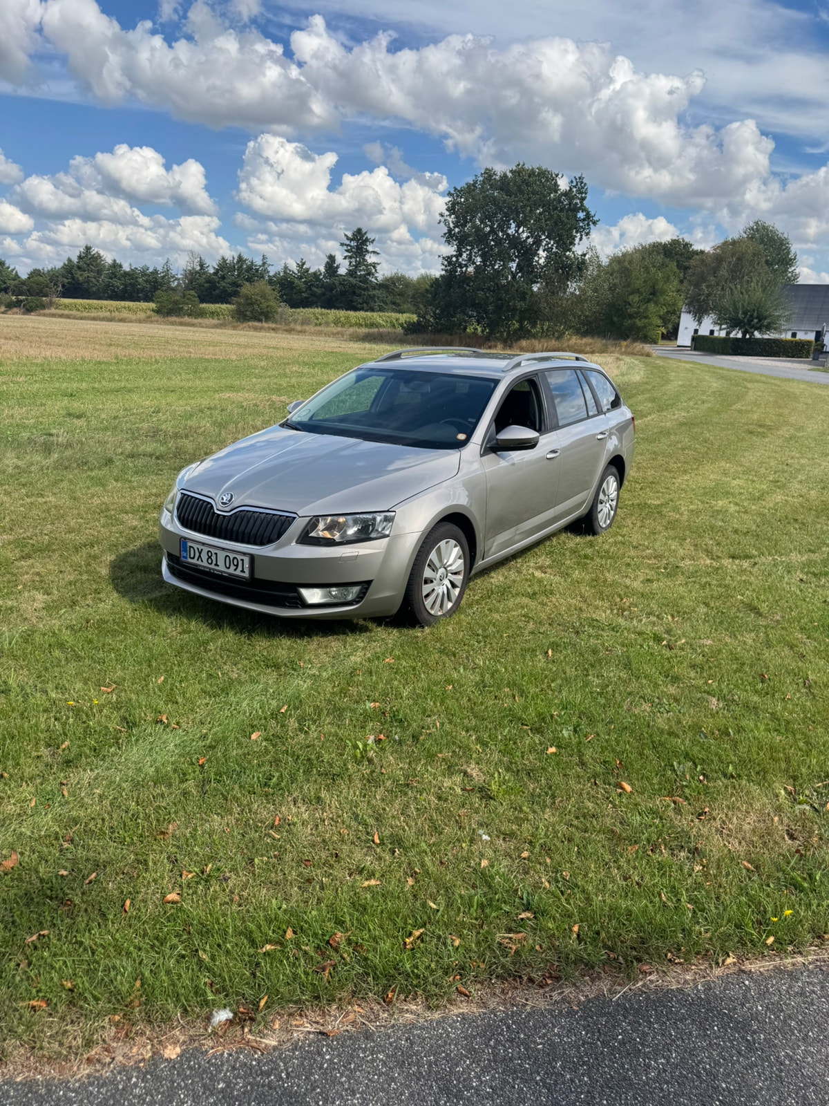 Skoda Octavia til salg hos Nabilli