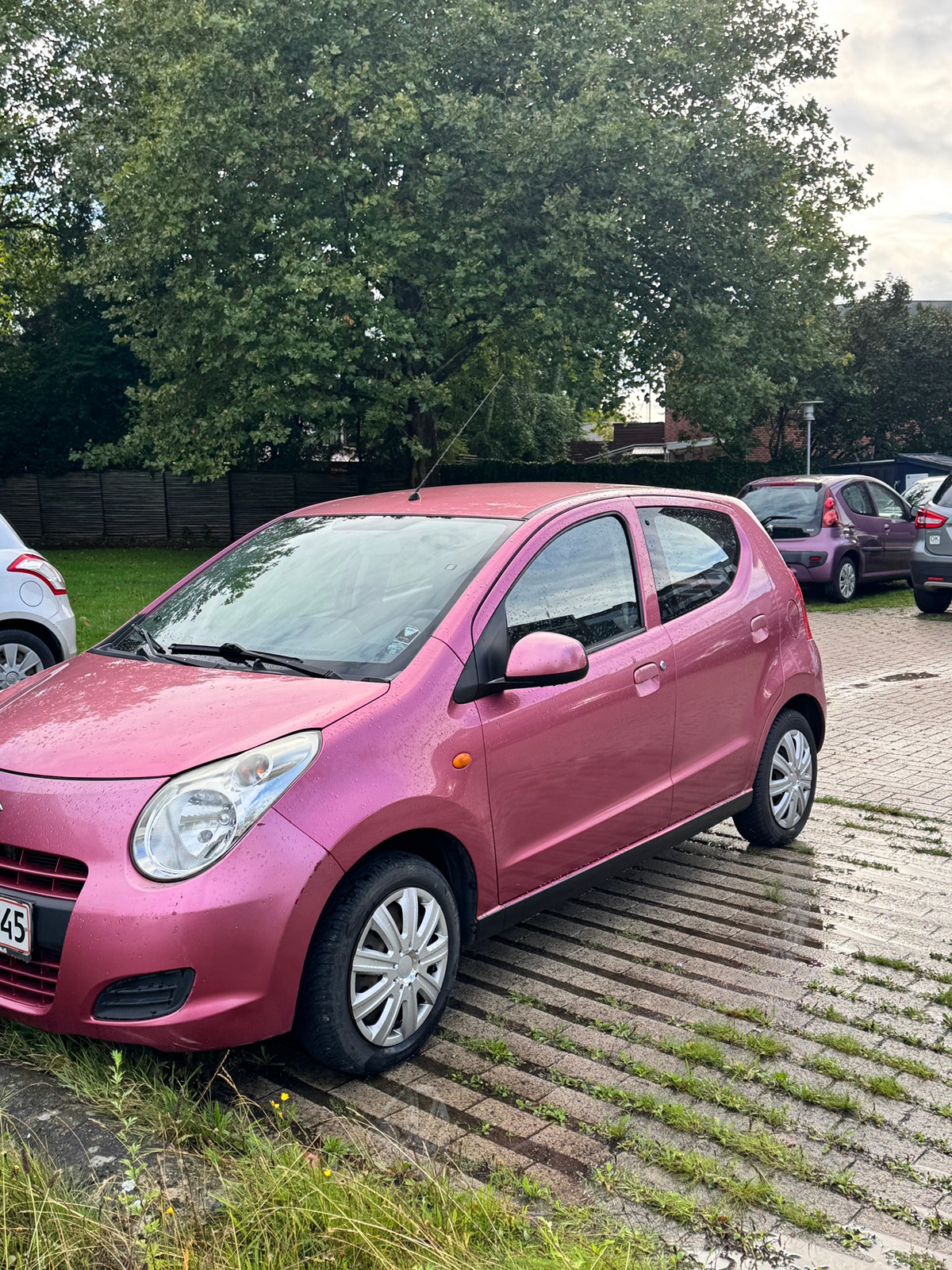 Suzuki Alto til salg hos Nabilli