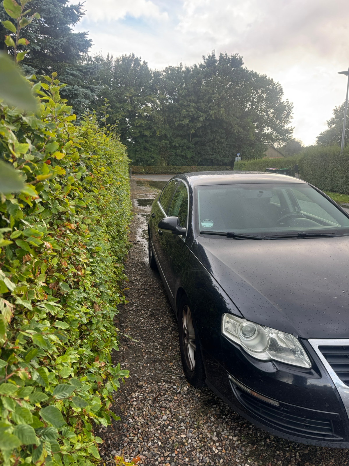 VW Passat – billede 6