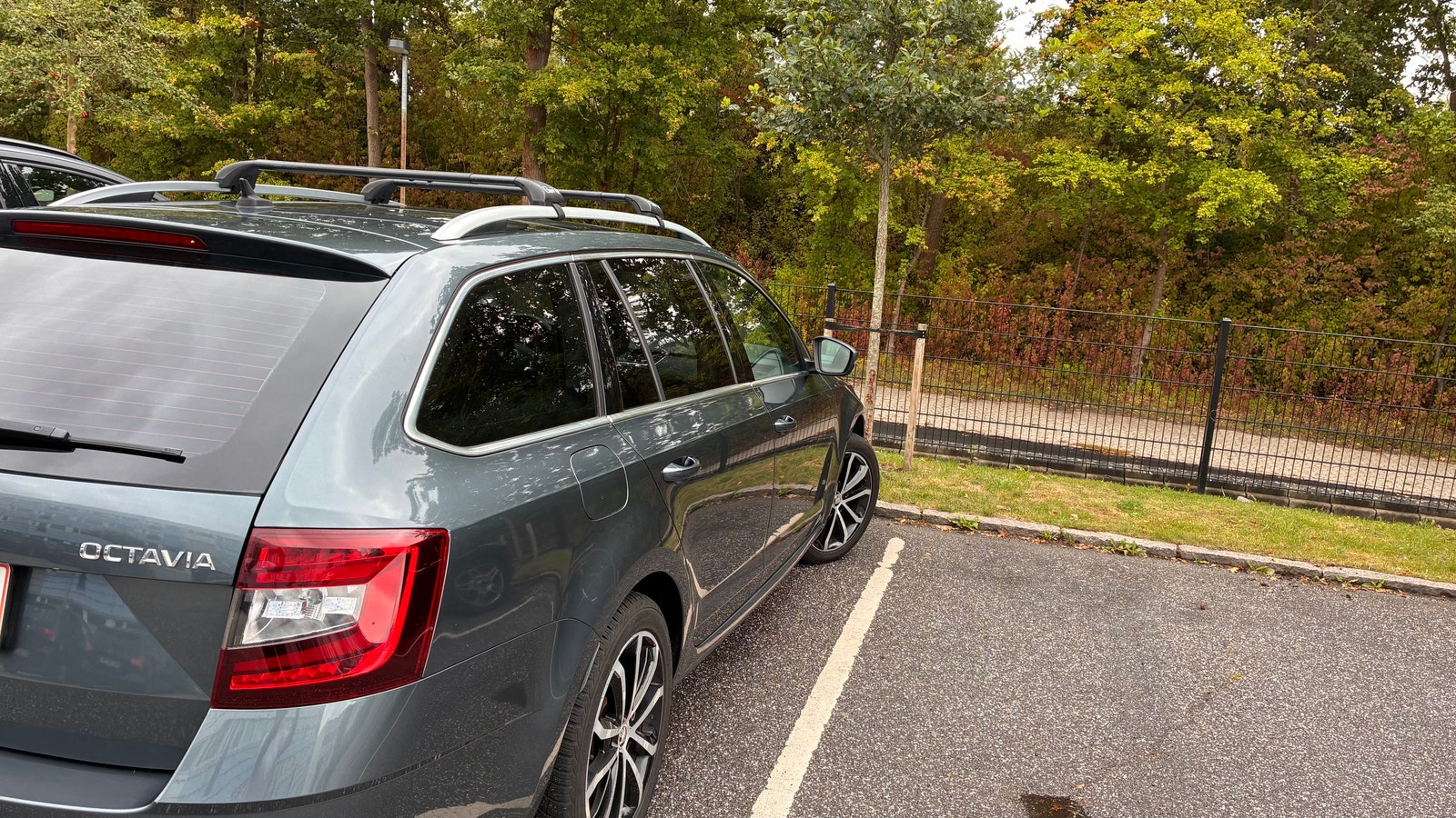 Skoda Octavia – billede 4