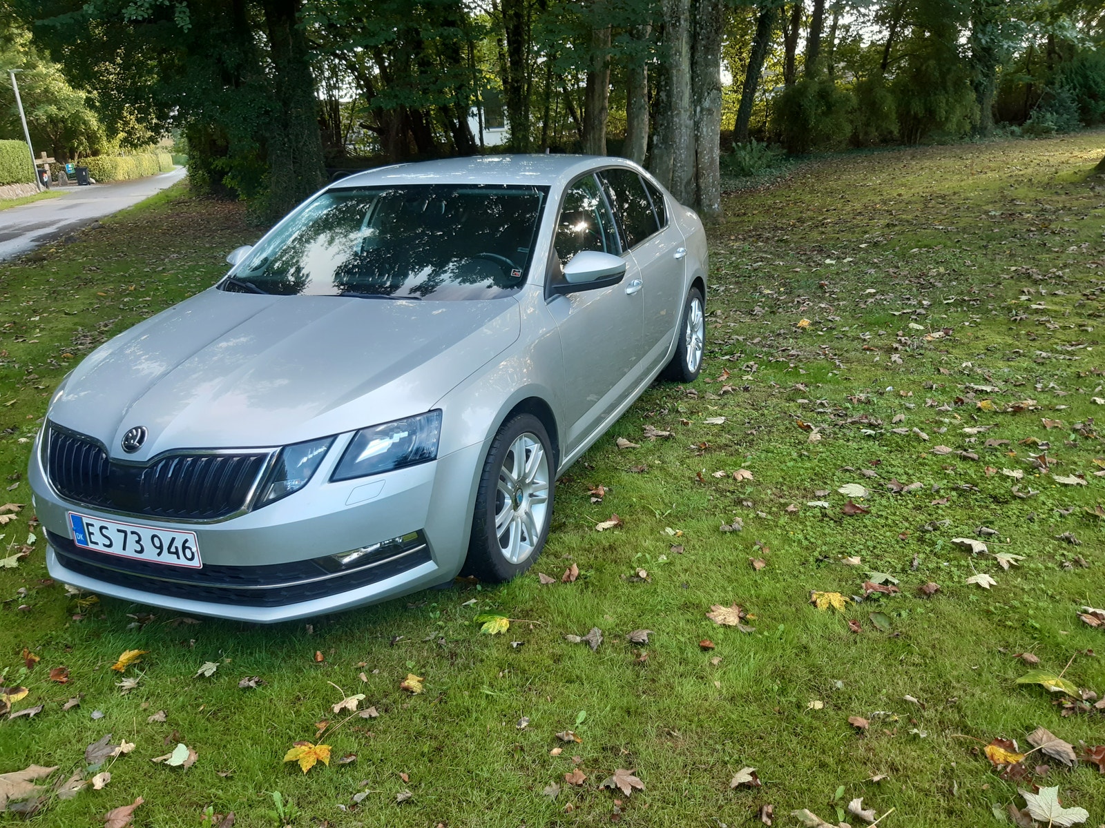 Skoda Octavia til salg hos Nabilli