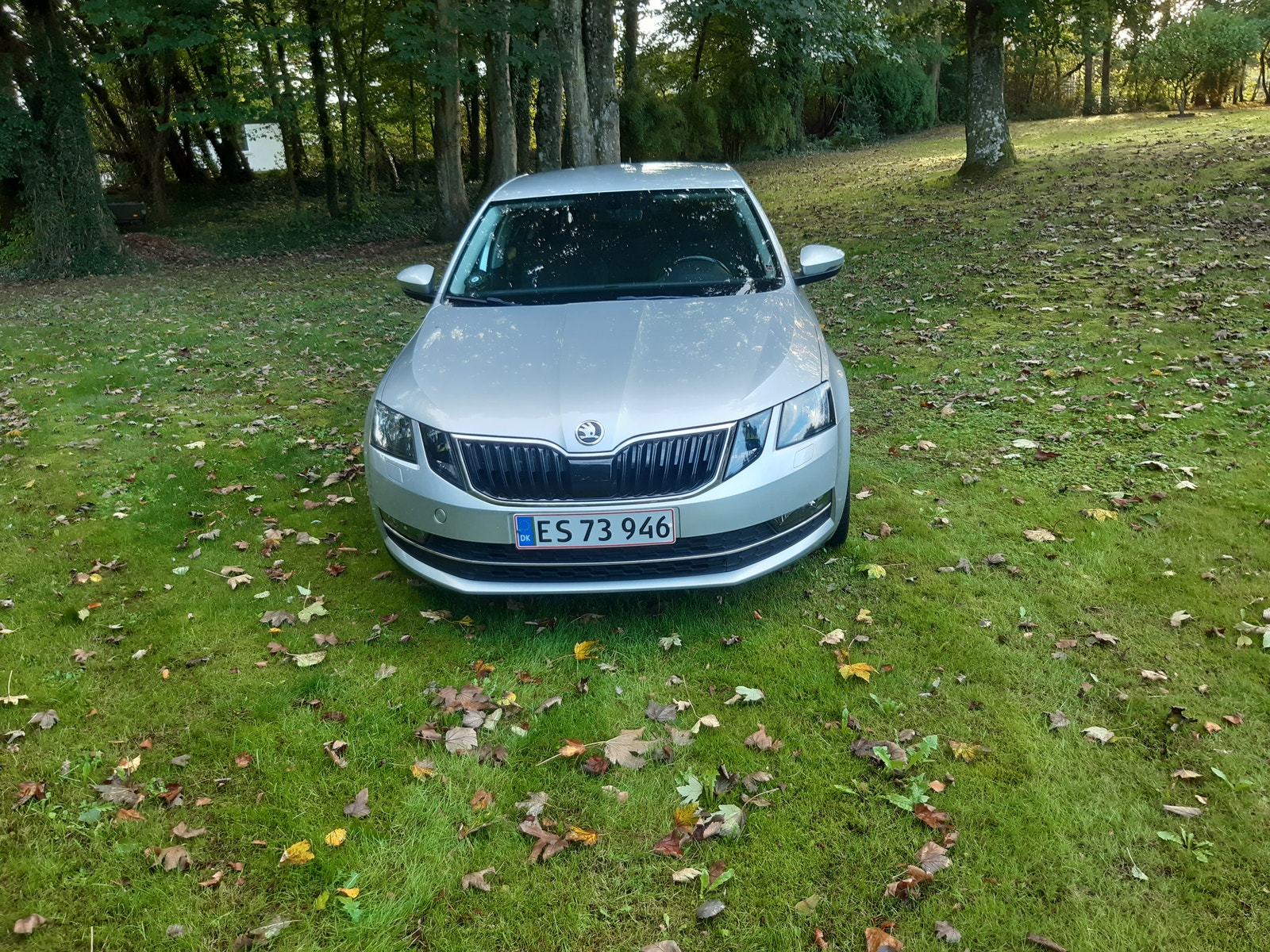 Skoda Octavia til salg hos Nabilli