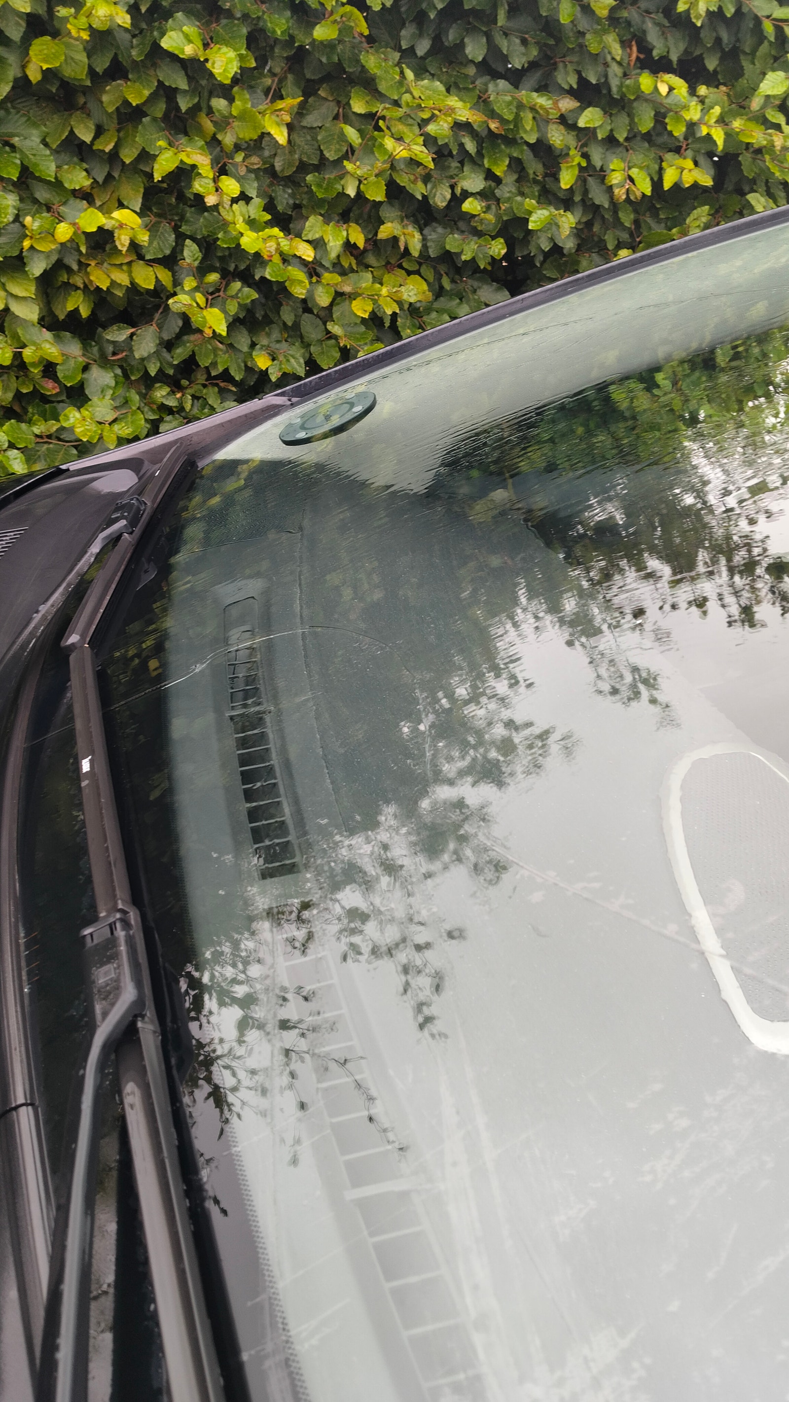 Toyota Avensis til salg hos Nabilli