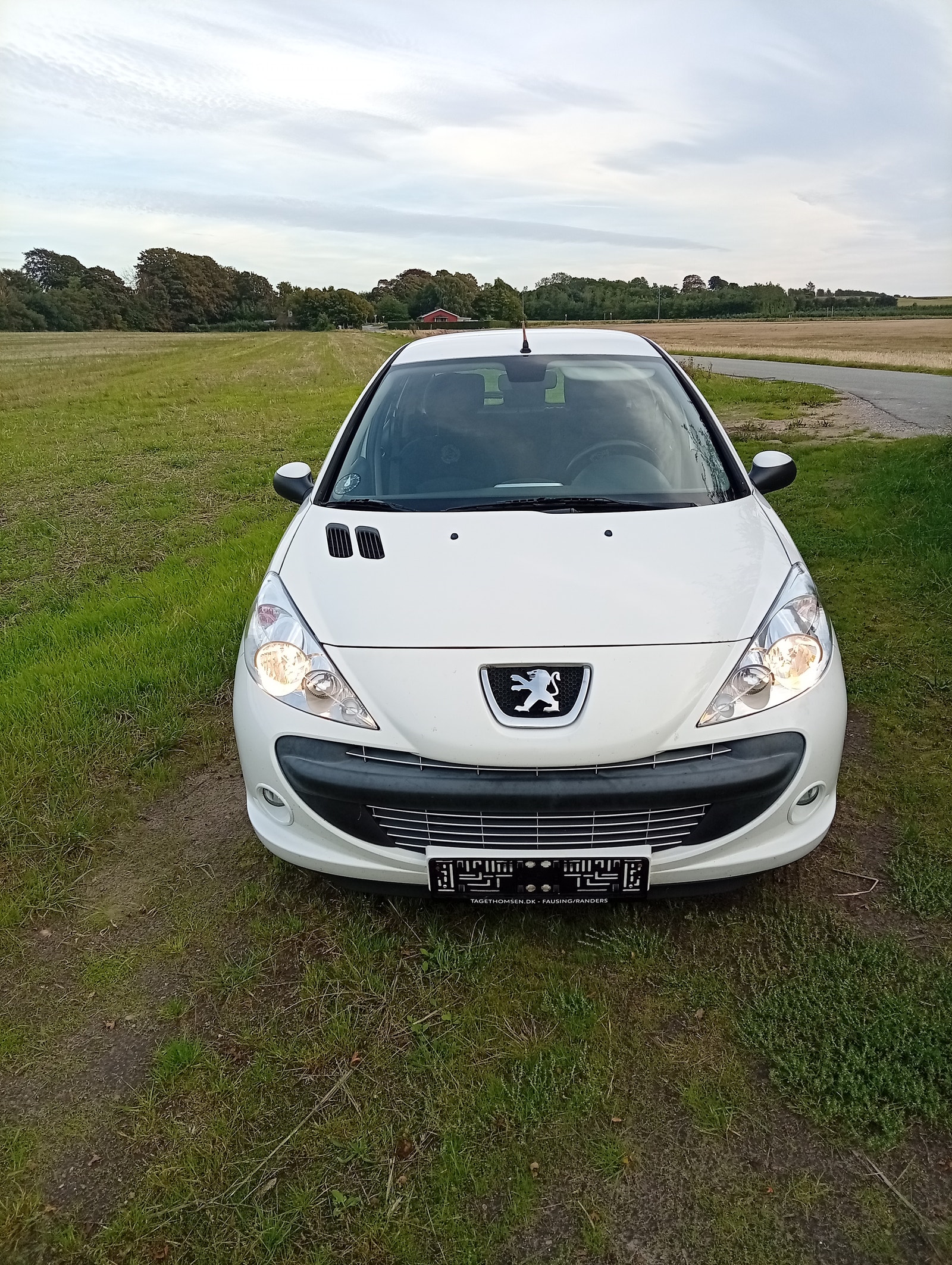 Peugeot 206+ – billede 2