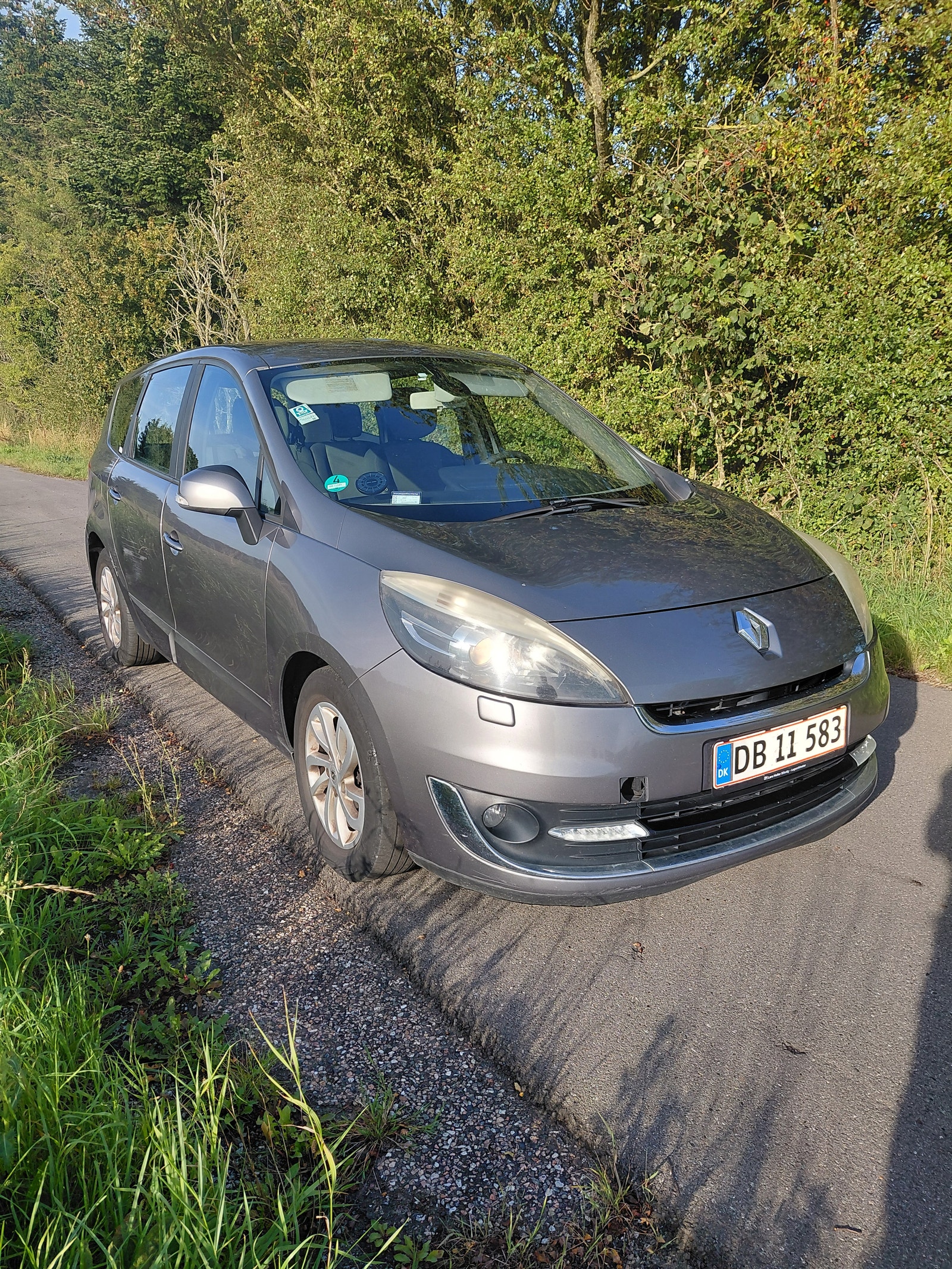 Renault Grand Scenic III – billede 2