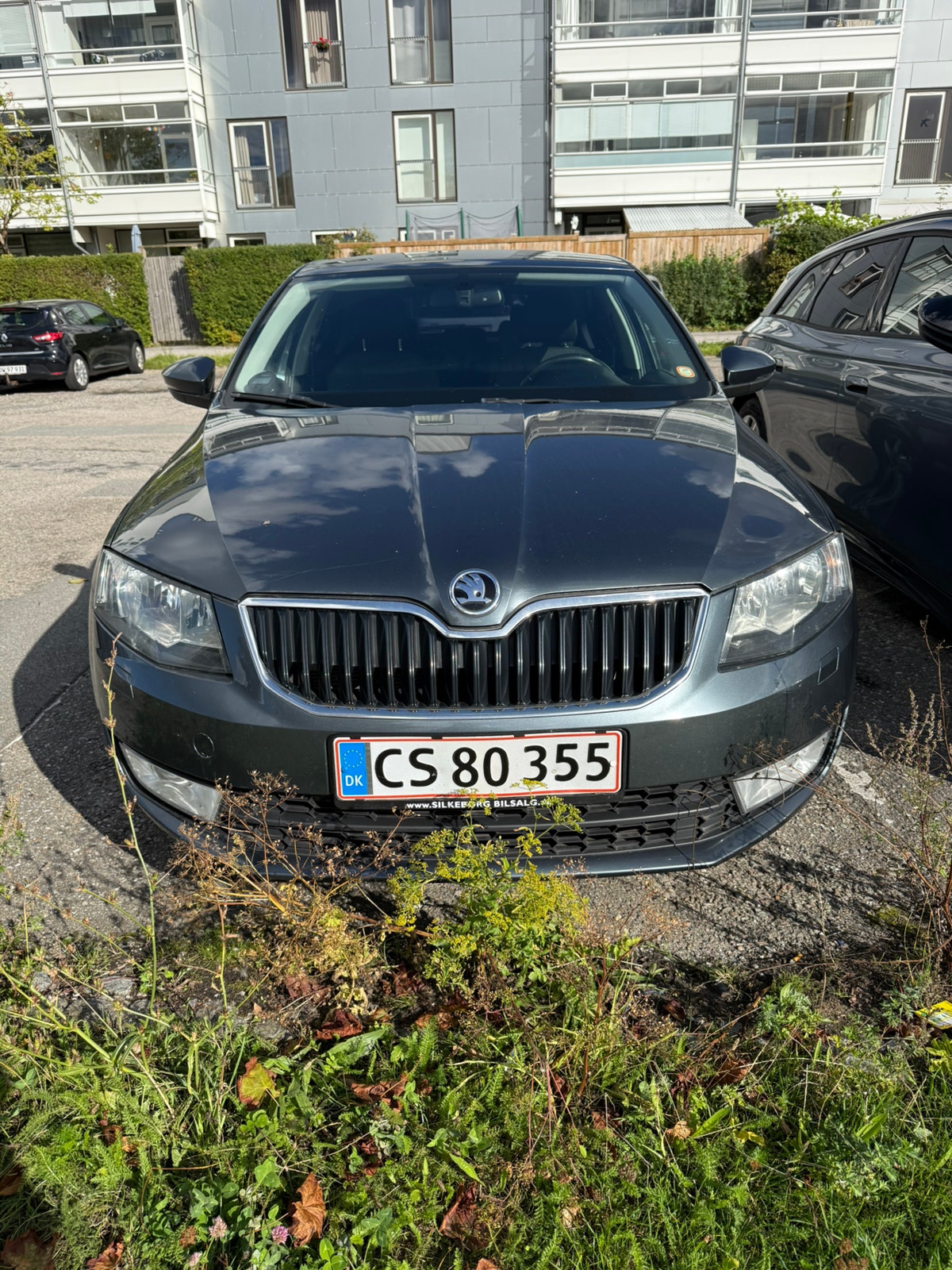 Skoda Octavia til salg hos Nabilli