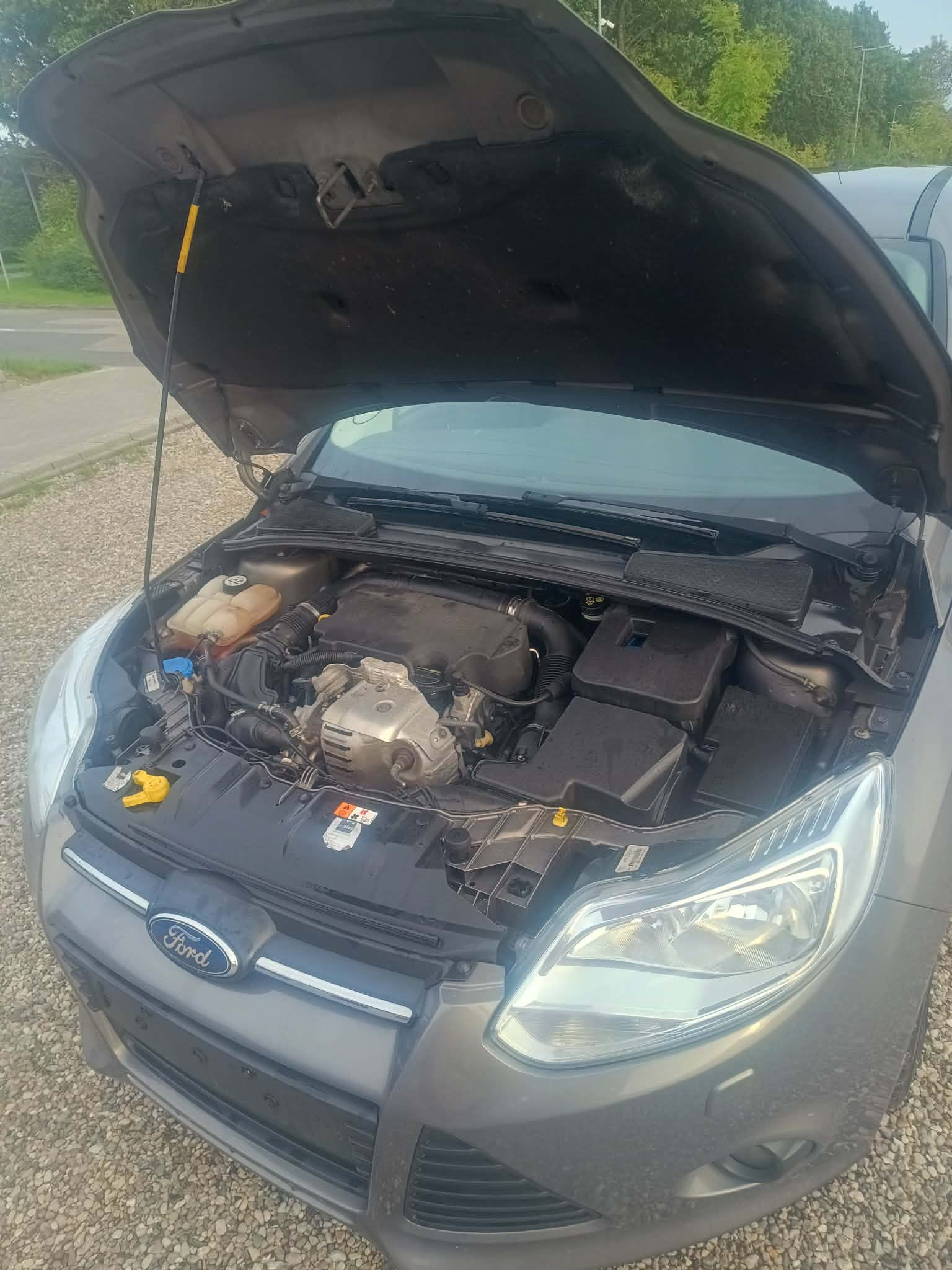 Ford Focus til salg hos Nabilli