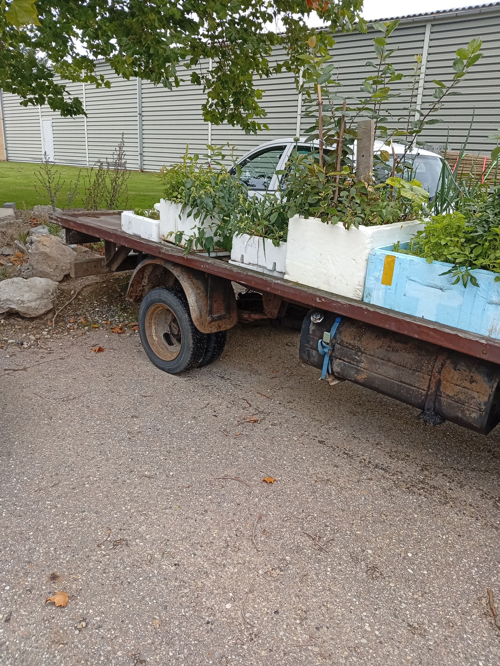 Mazda E2200 – billede 4