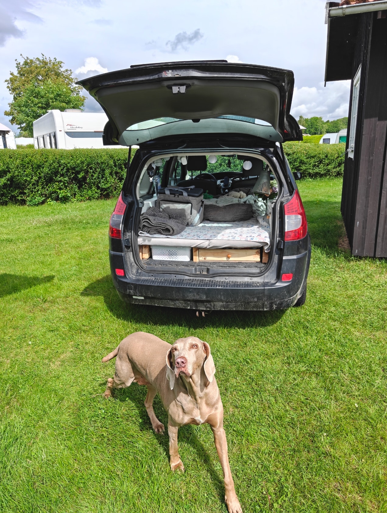 Renault Grand Scenic II til salg hos Nabilli