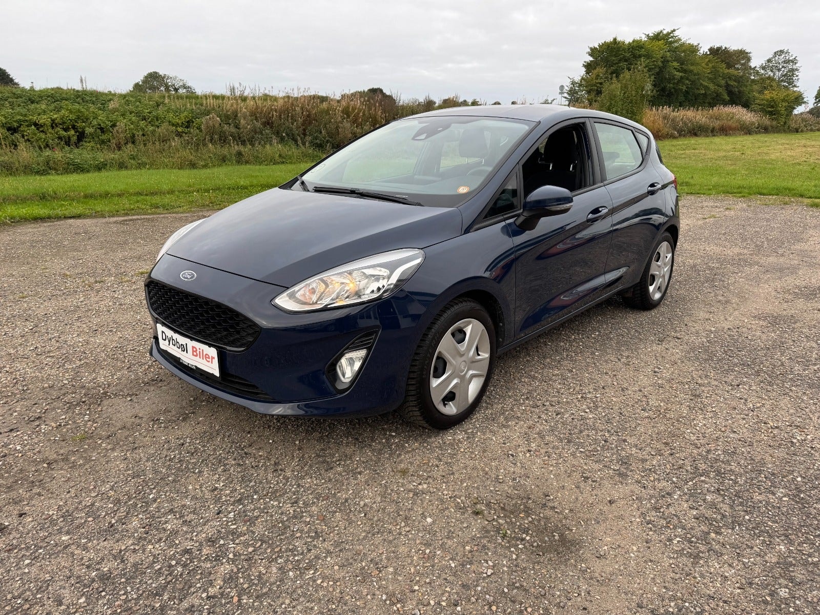 Ford Fiesta til salg hos Nabilli