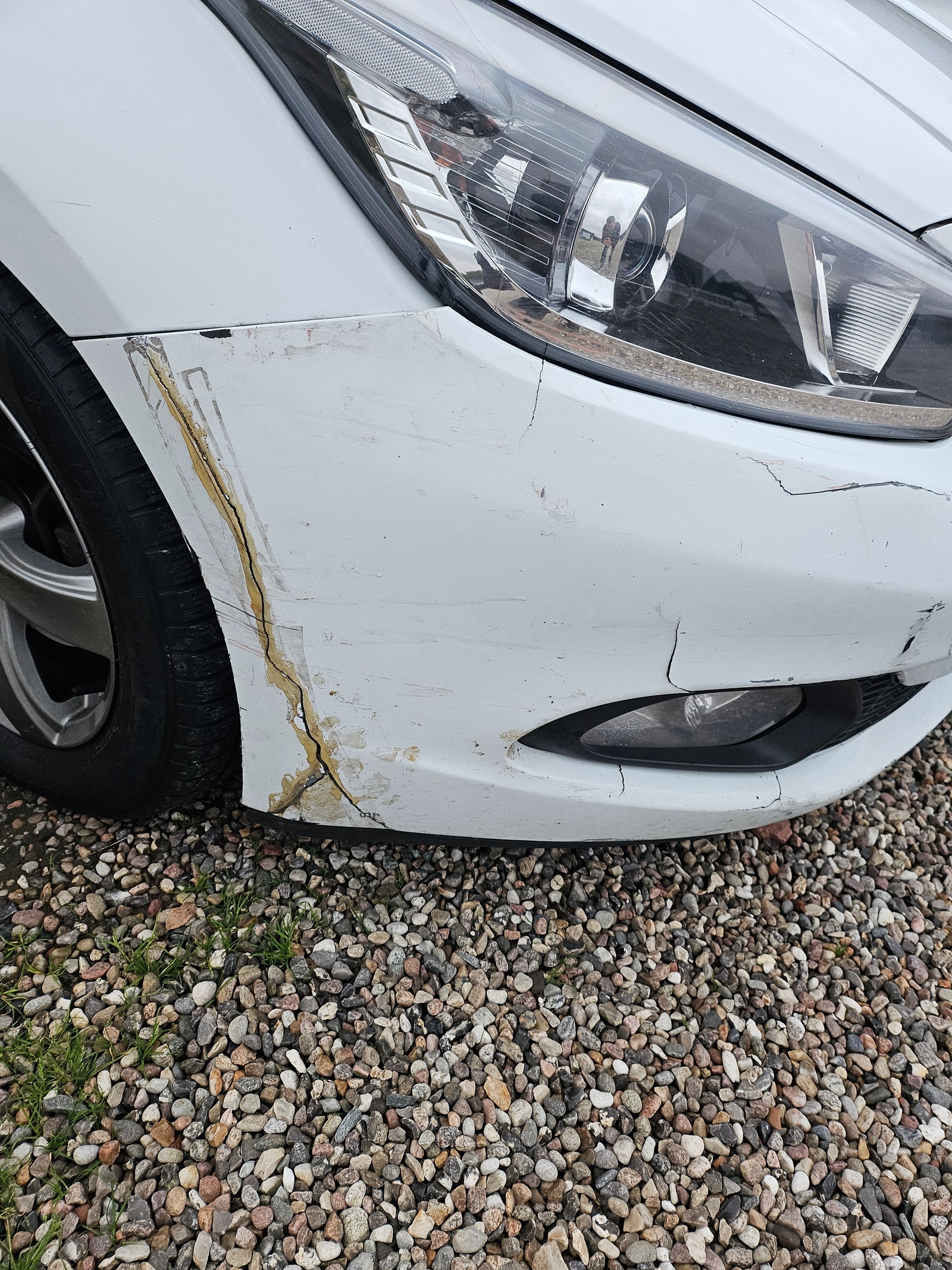 Kia Ceed til salg hos Nabilli