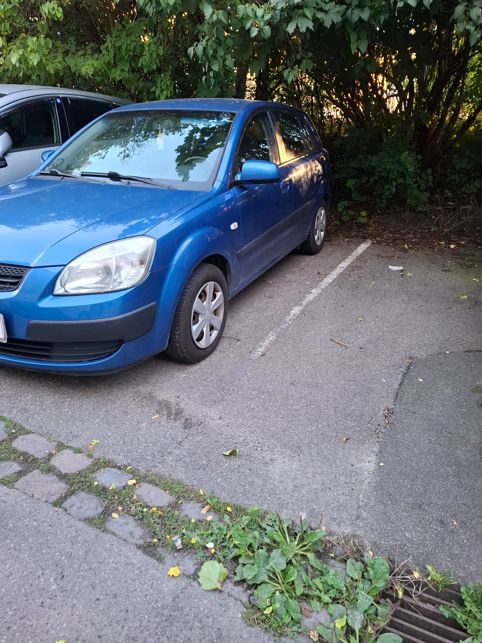 Kia Rio til salg hos Nabilli