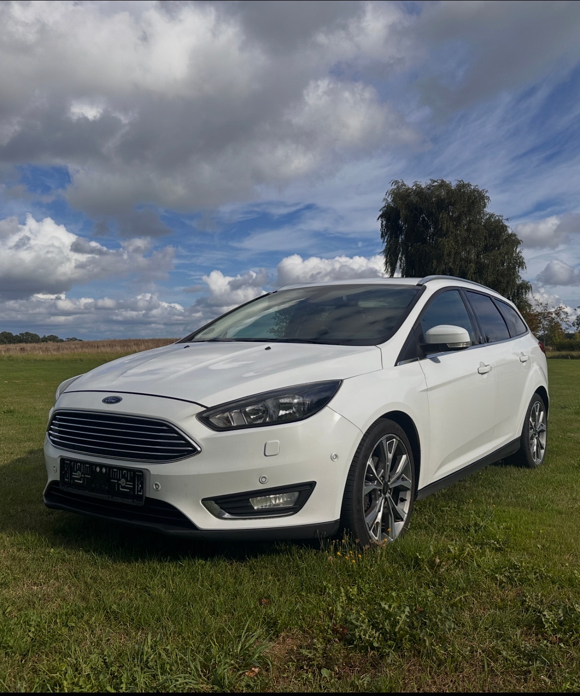 Ford Focus til salg hos Nabilli