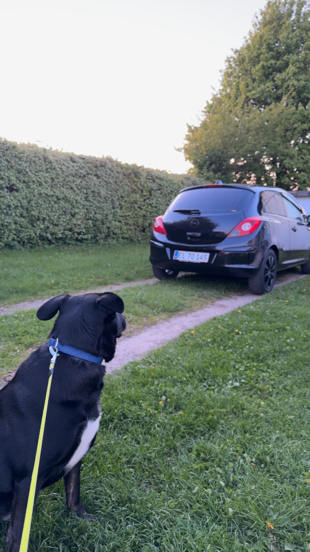 Opel Corsa til salg hos Nabilli